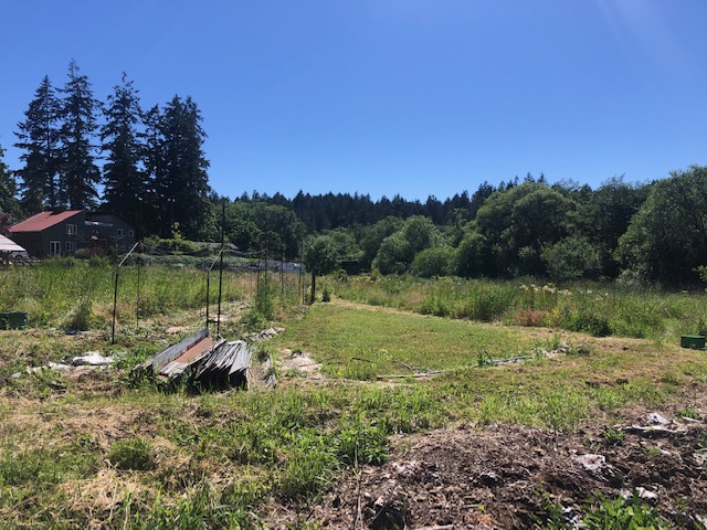 24c81286 b3b9 47b0 b173 0754e79e29c0