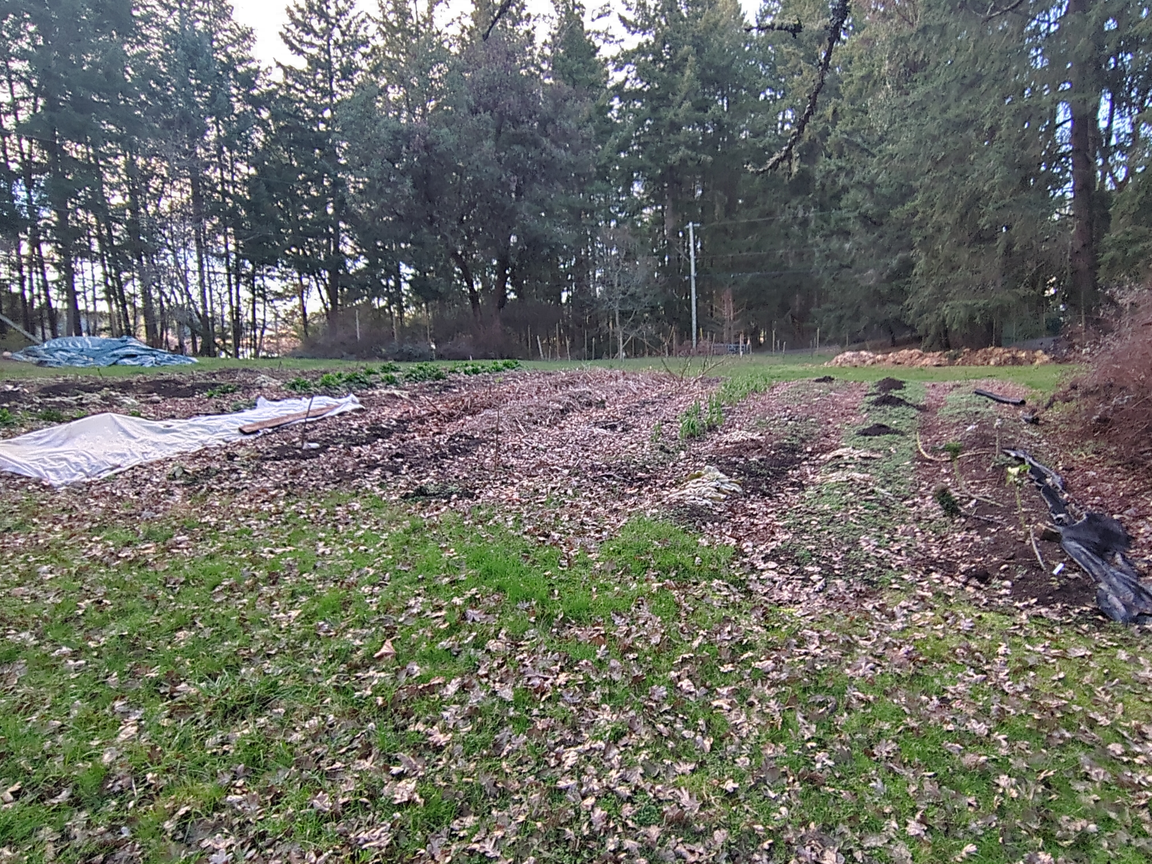 Be6a7e5a e0b2 4238 b6df b410fadb117d