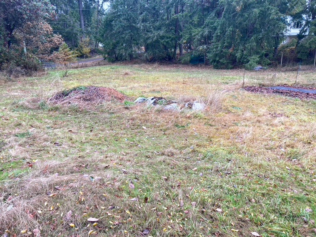 E7ba663e 5479 4c97 8445 45a1a9921c2c