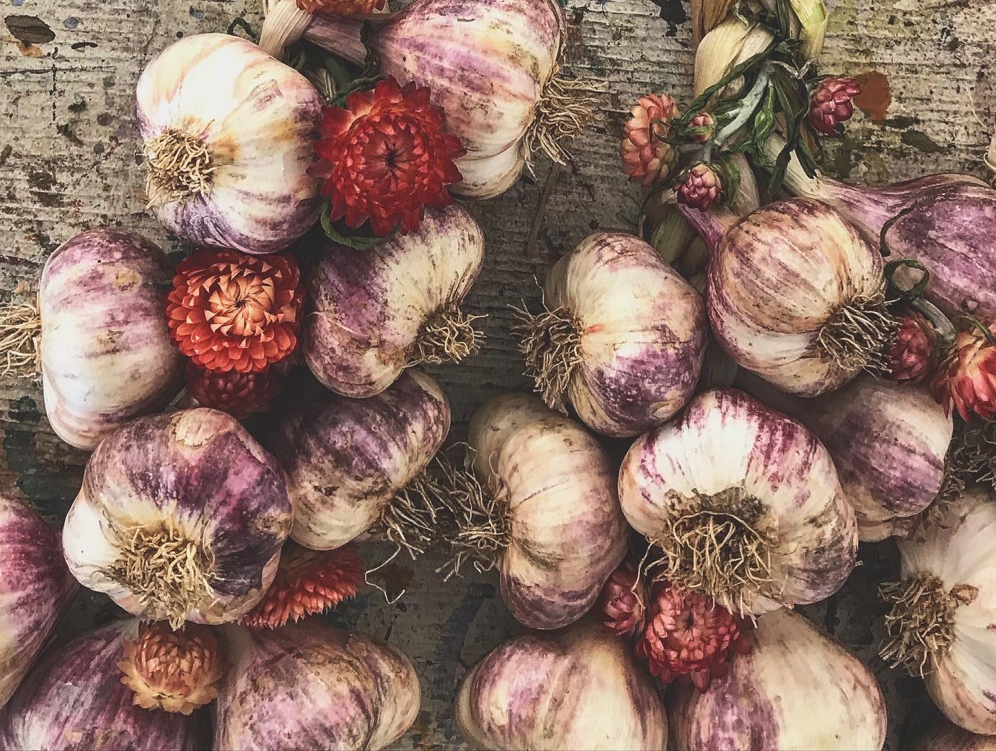 Eb4c1f30 89d6 4a40 9e40 73ef27e74920