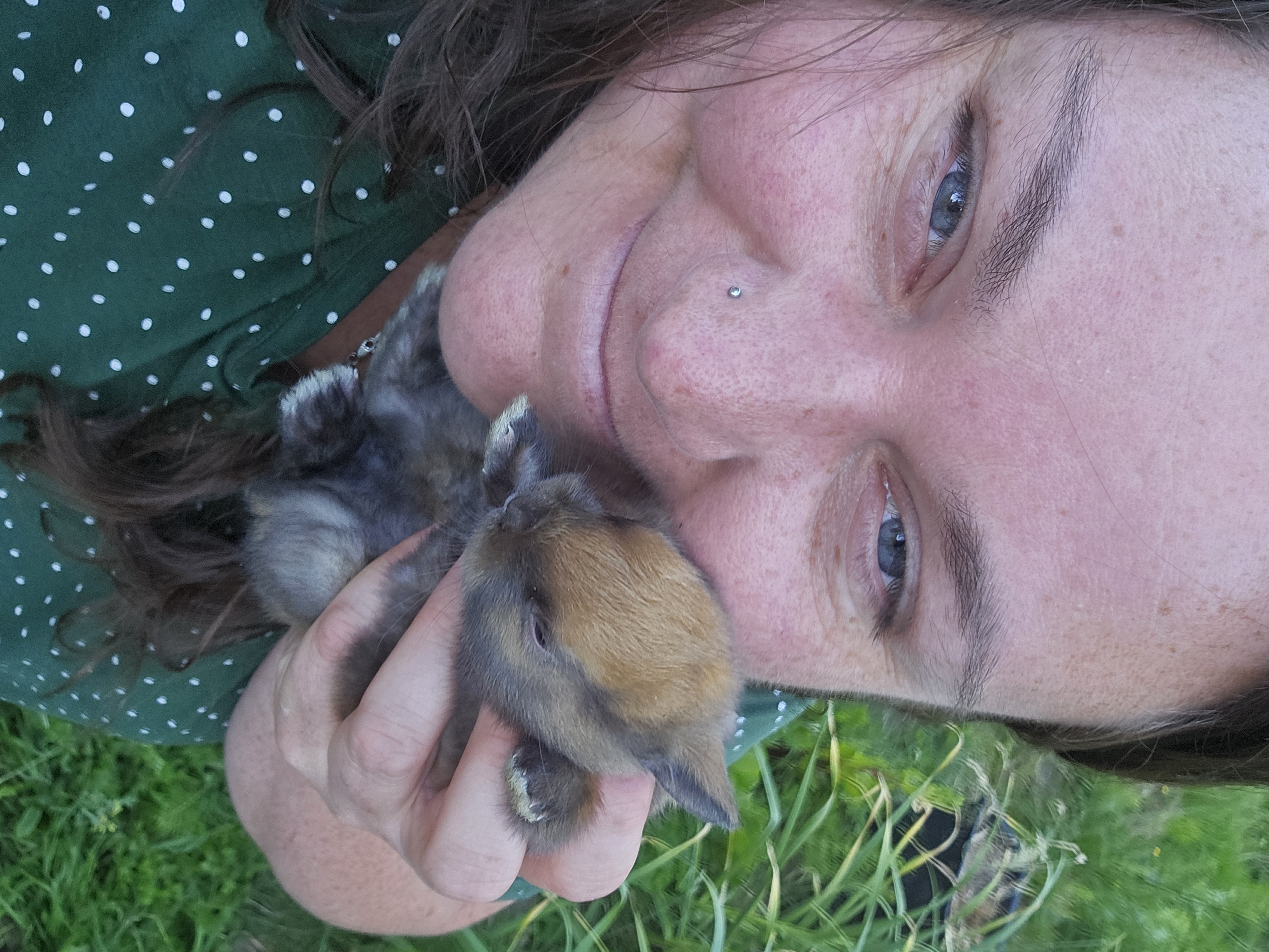 A0f51dc3 fd8c 4a9b ba52 c35ab210aa73