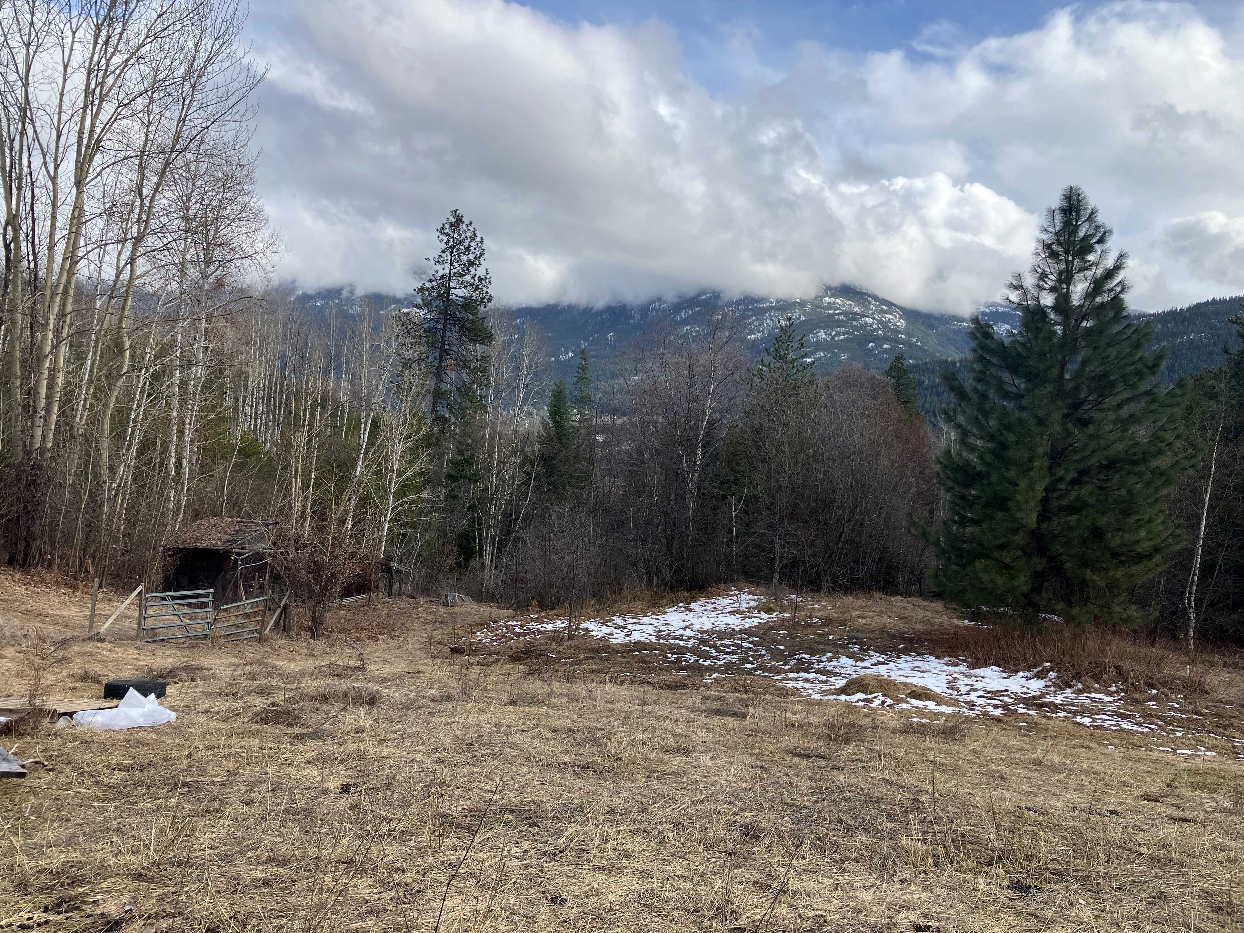 60e84b5e f05d 45f4 b6ee 70b2074cf542