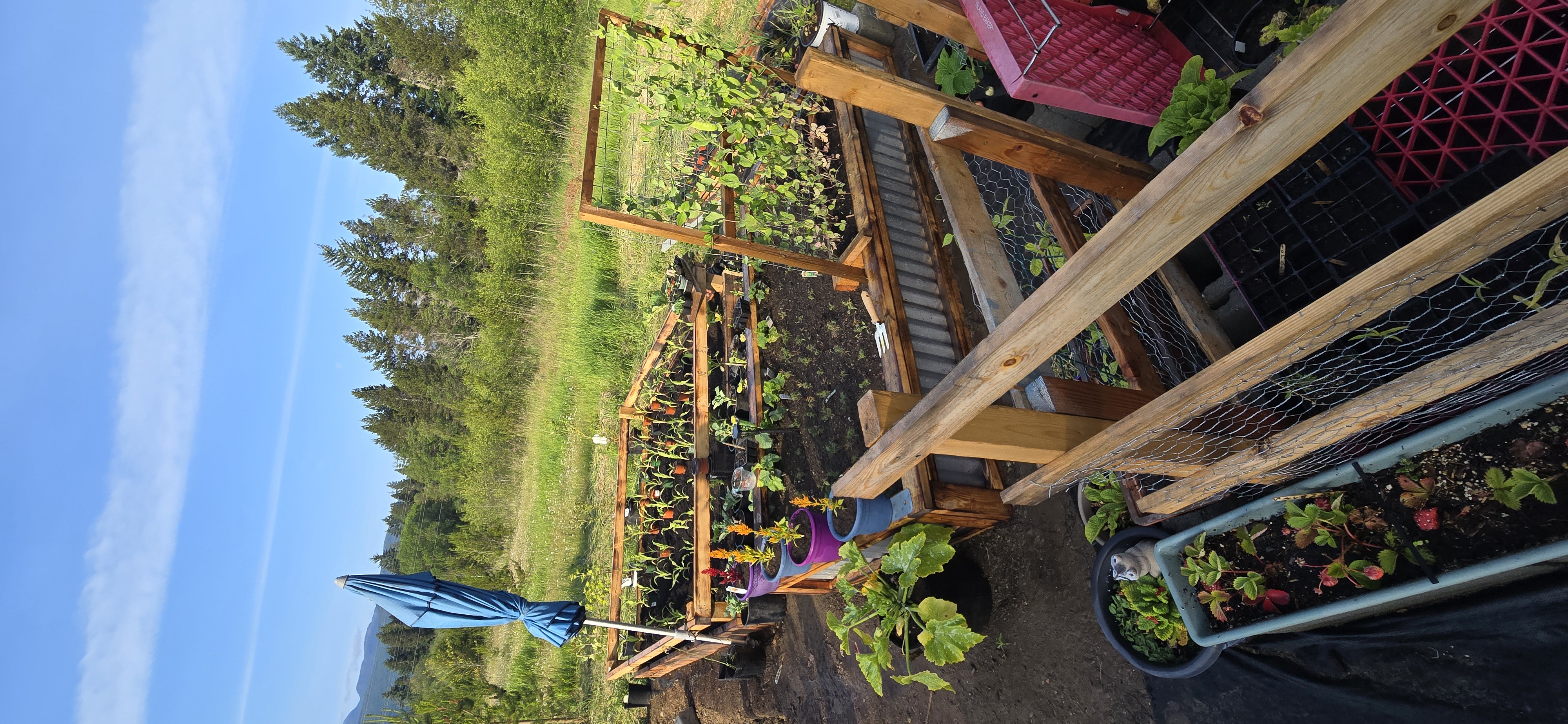 D5693d4d eedb 4378 97a4 bc1393634161