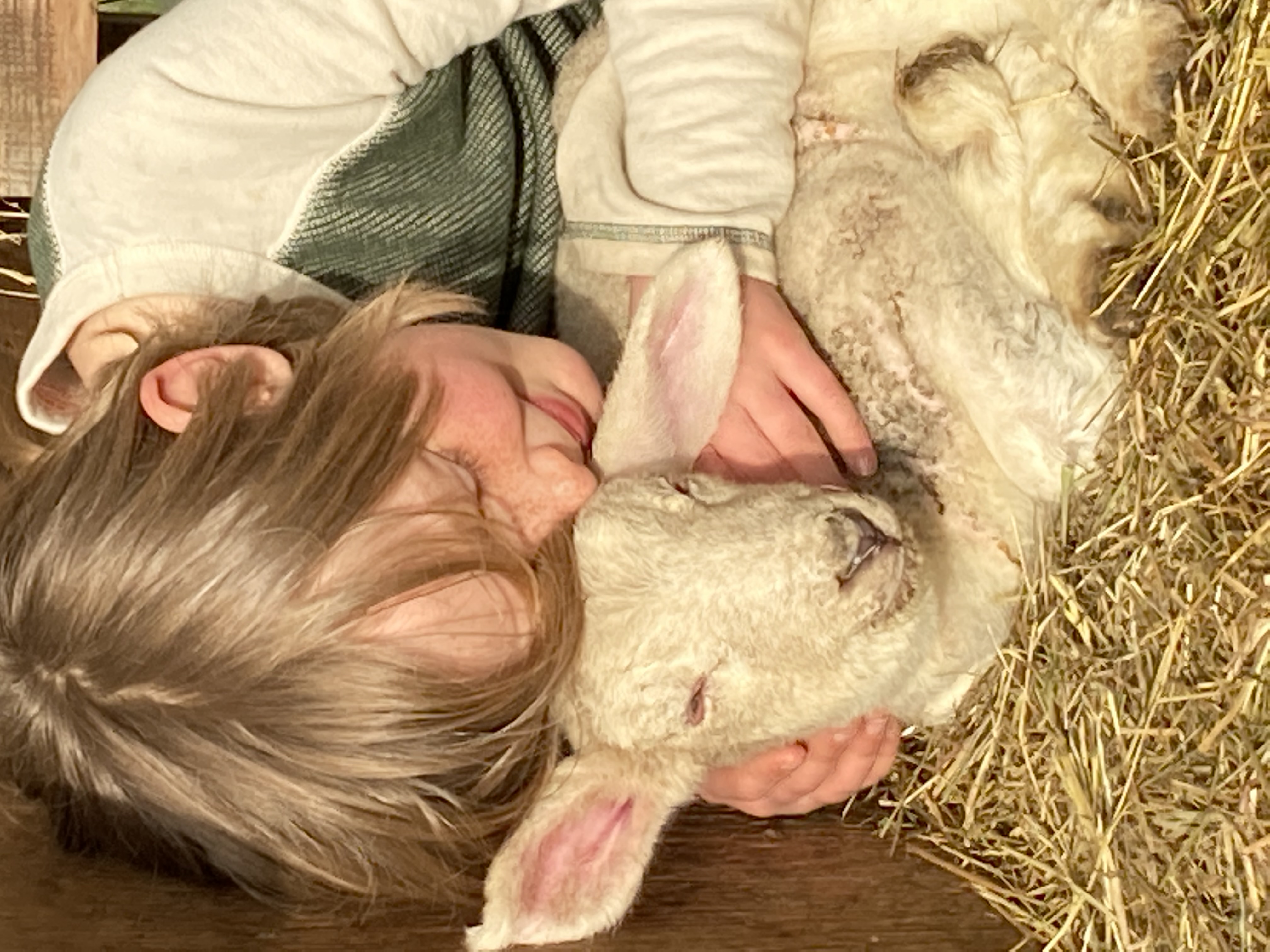 1d79144b b6ae 4bdb b114 17f6dc300e39