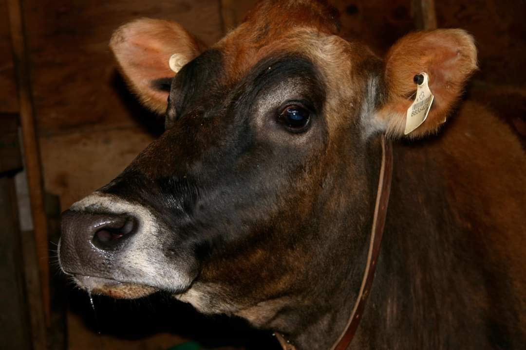 Adb95f06 ab70 4695 8047 41f23495feeb