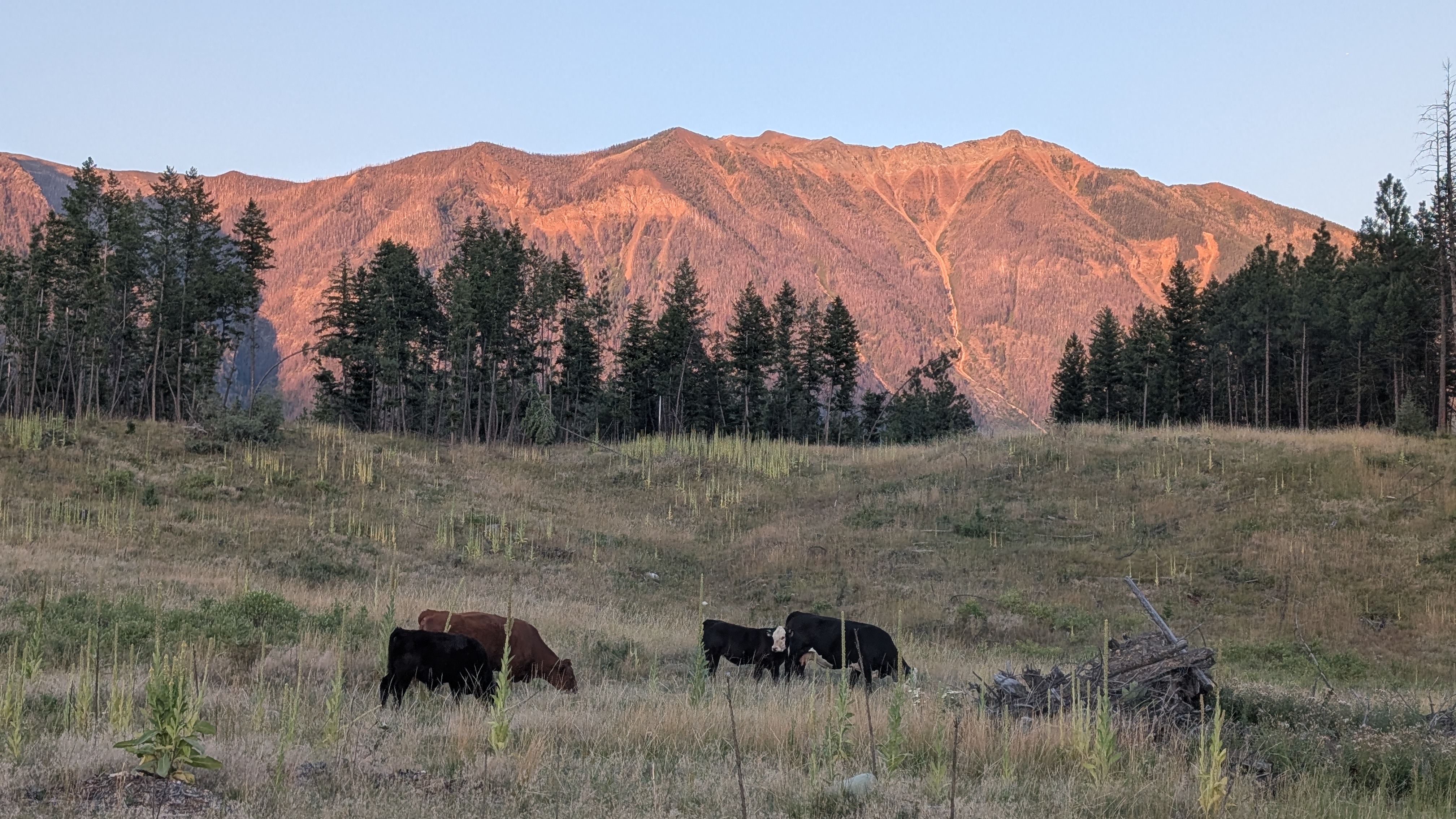 C73c0f70 6df3 437f b9b3 b88eefe64d2f