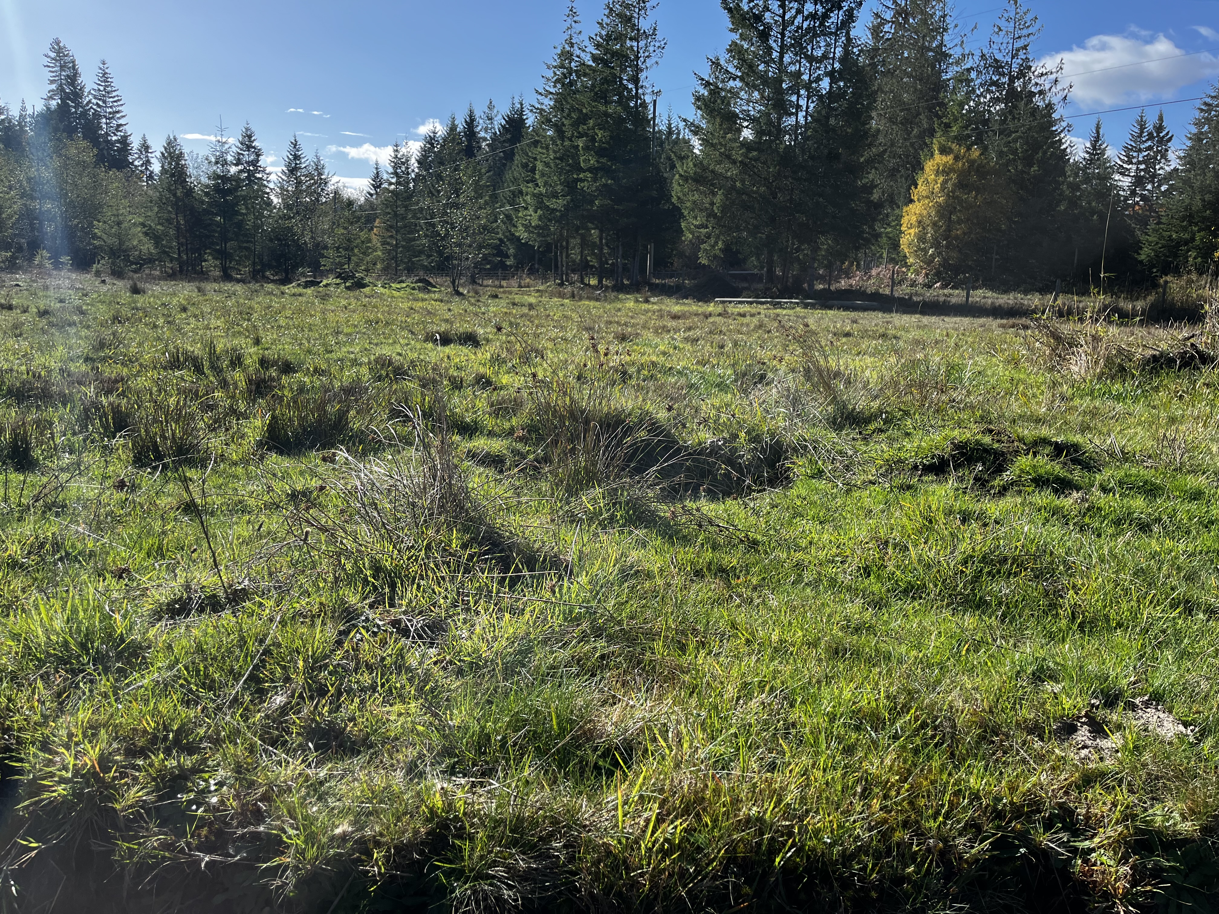 12be1920 d3e9 4767 9997 9bbdc4c410ac