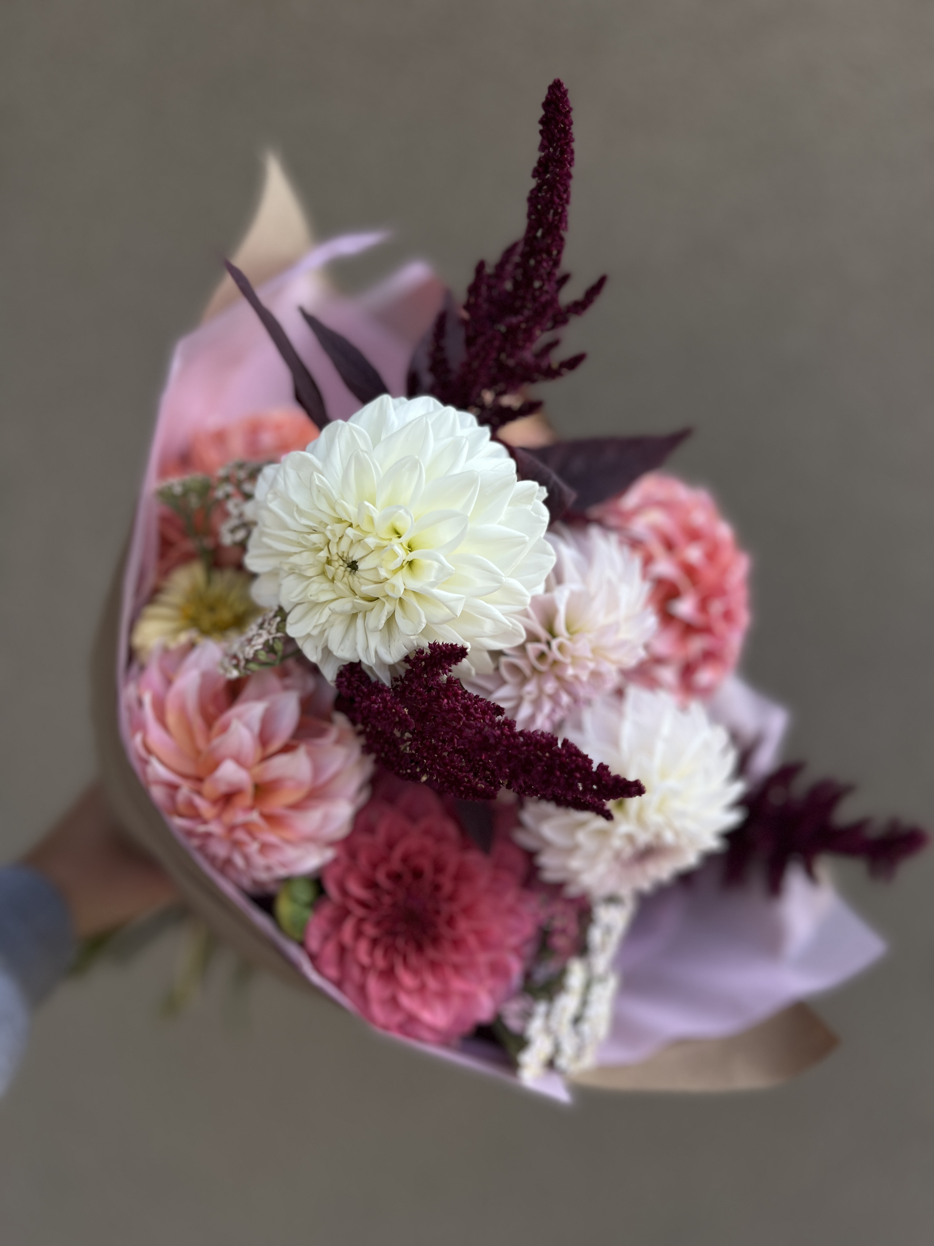 A0e47645 42c8 4322 a835 601e6e65828f