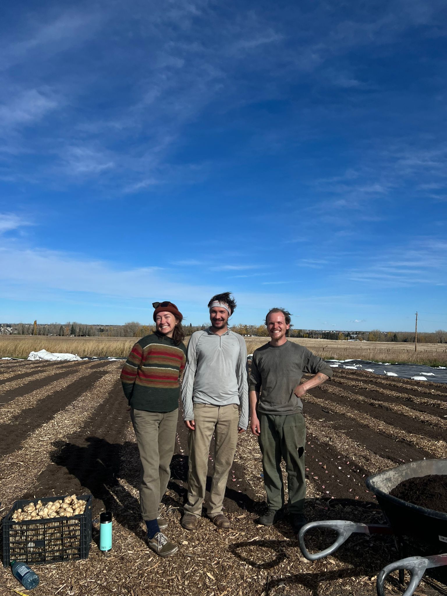 9d6feb61 43c2 4adc 9990 ed33390f63ae