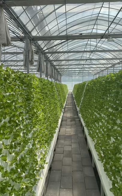 5fdf668a 69c3 4f33 96fb 9474d9e25c7e