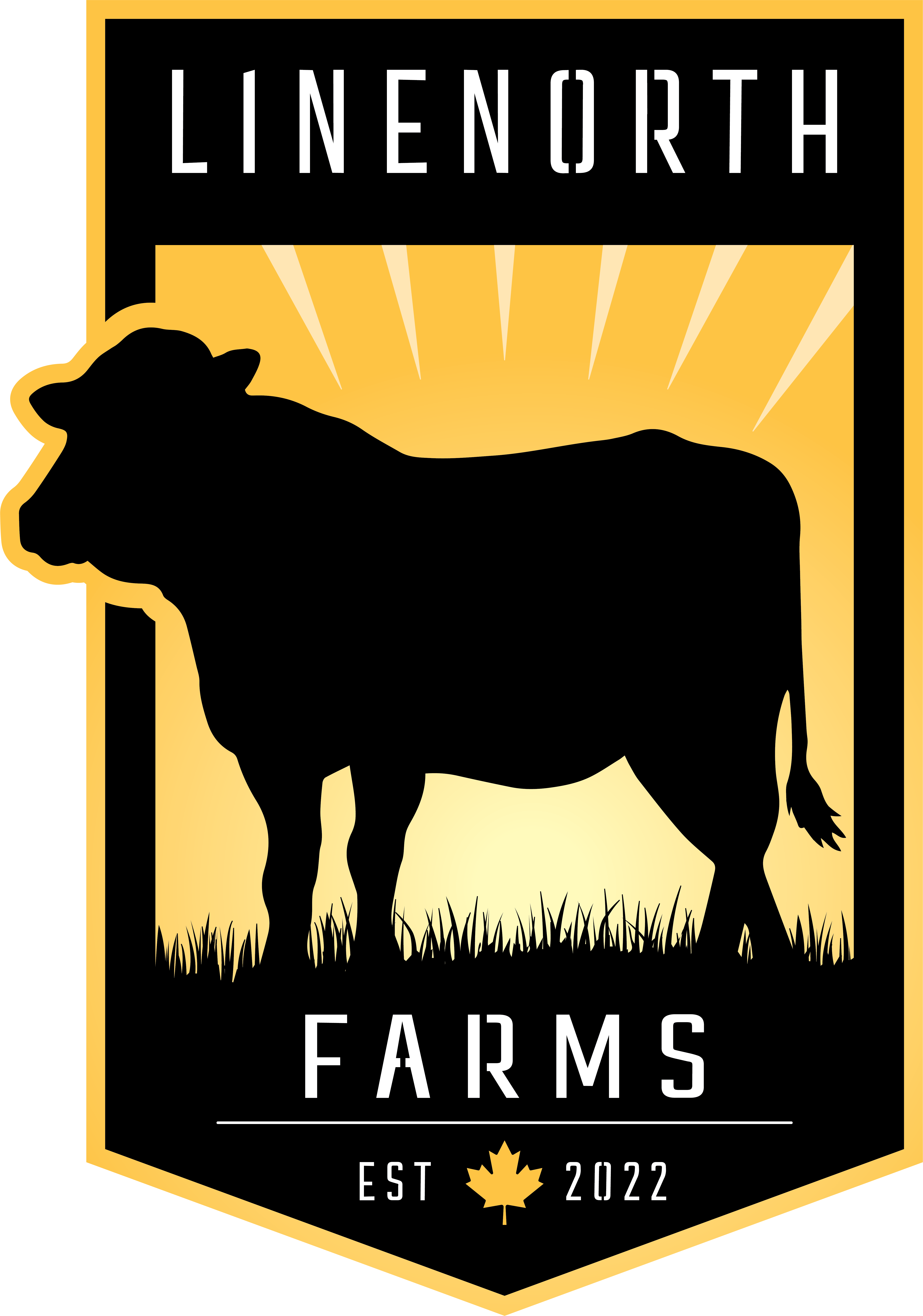 87cf7a53 b179 4315 8f9d 1a3bd4f6cbbc