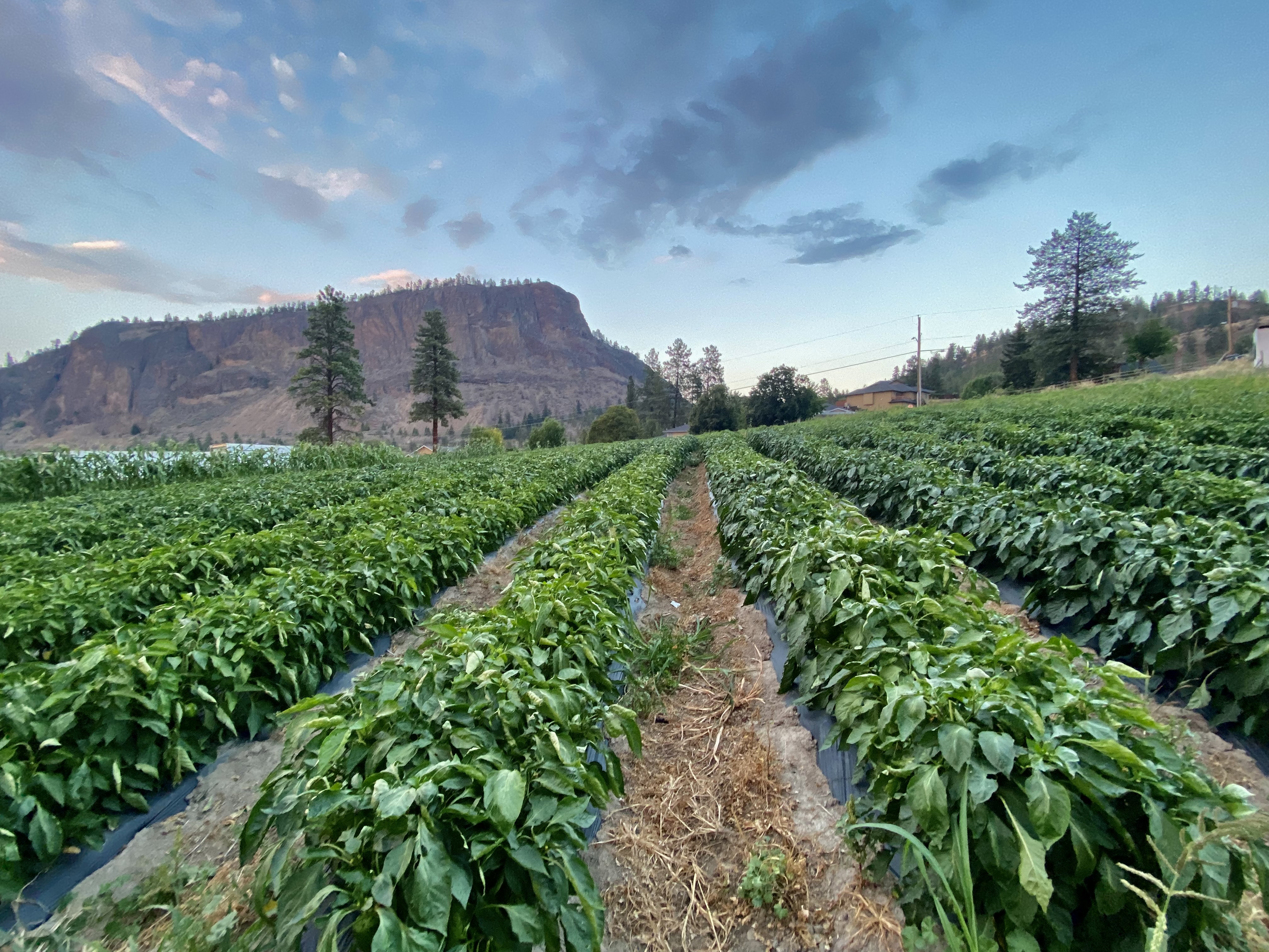 8c82a77f 2488 45e1 9e80 afeafa79ca35