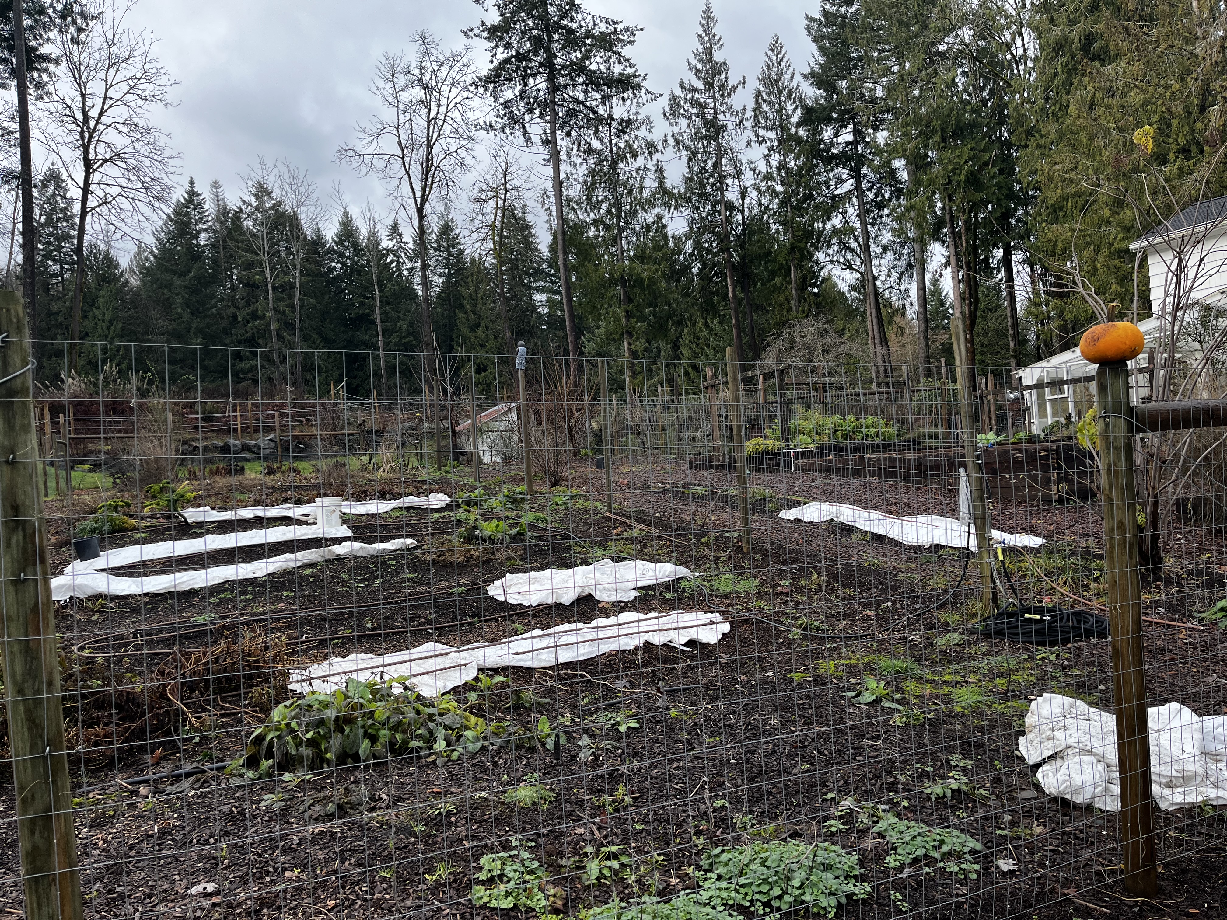 E20869dd 3e75 4fd7 8810 1eae96e3ada7