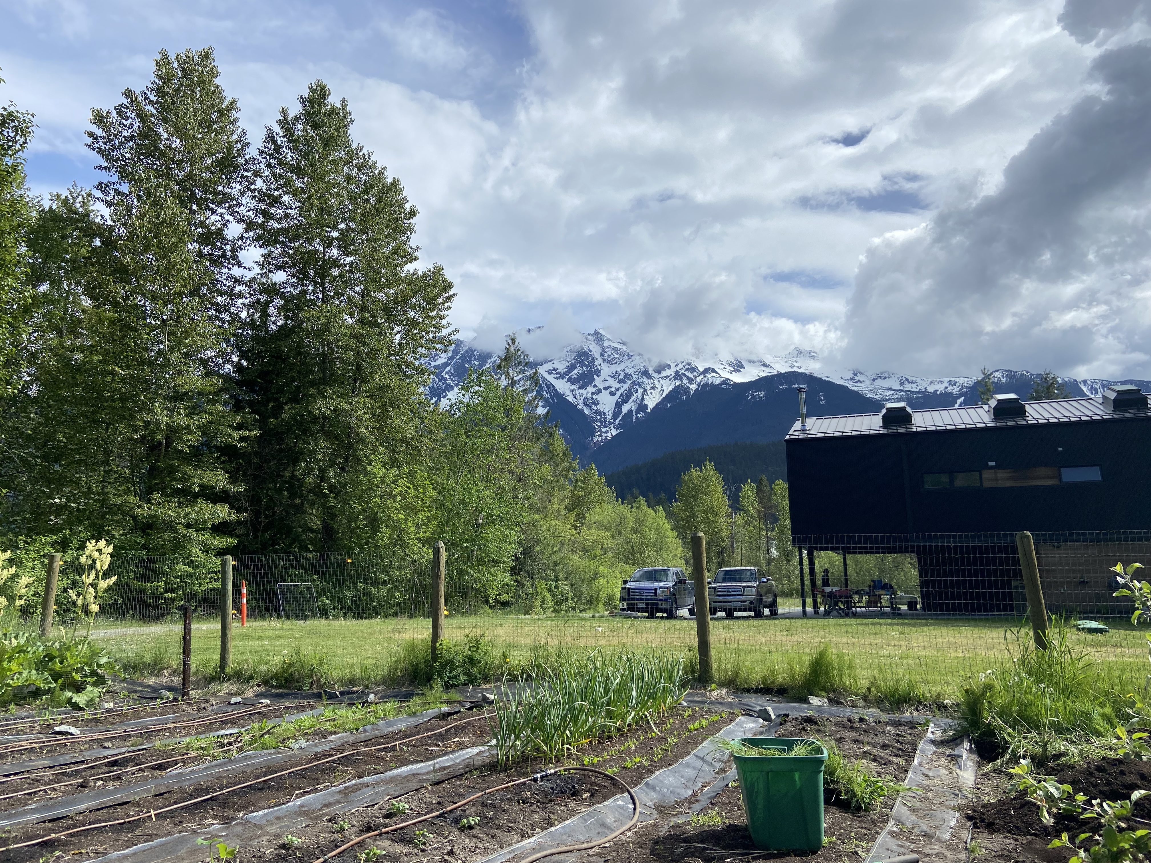 36d84799 2265 457c a50c 8782abfbcf9a