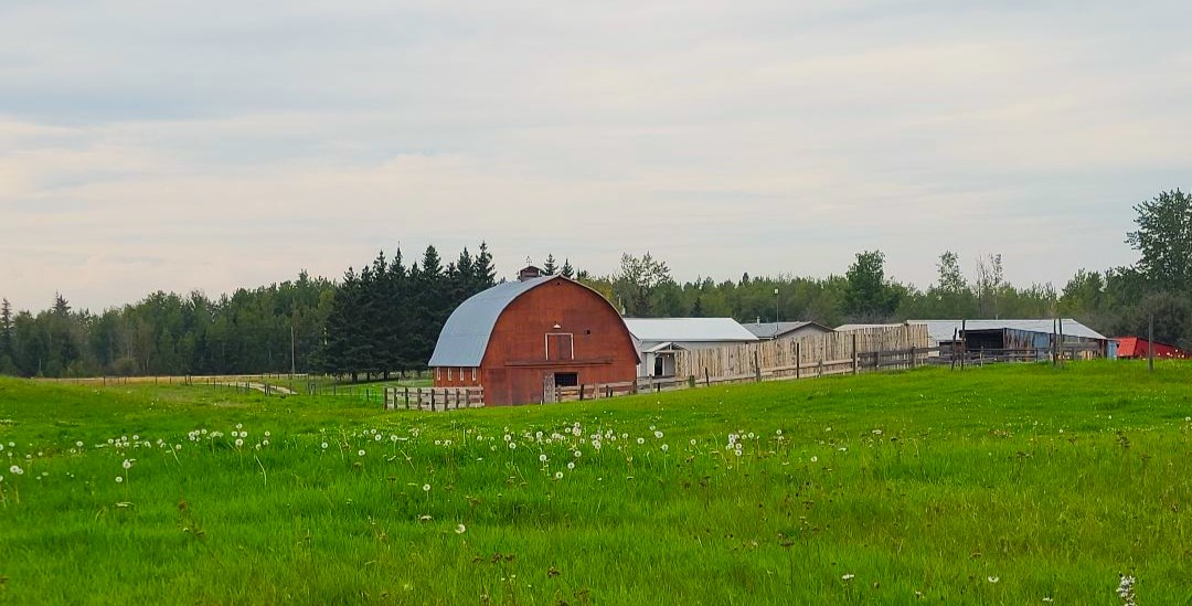 9d354985 fae8 4696 924f 3838fa1fd2a2