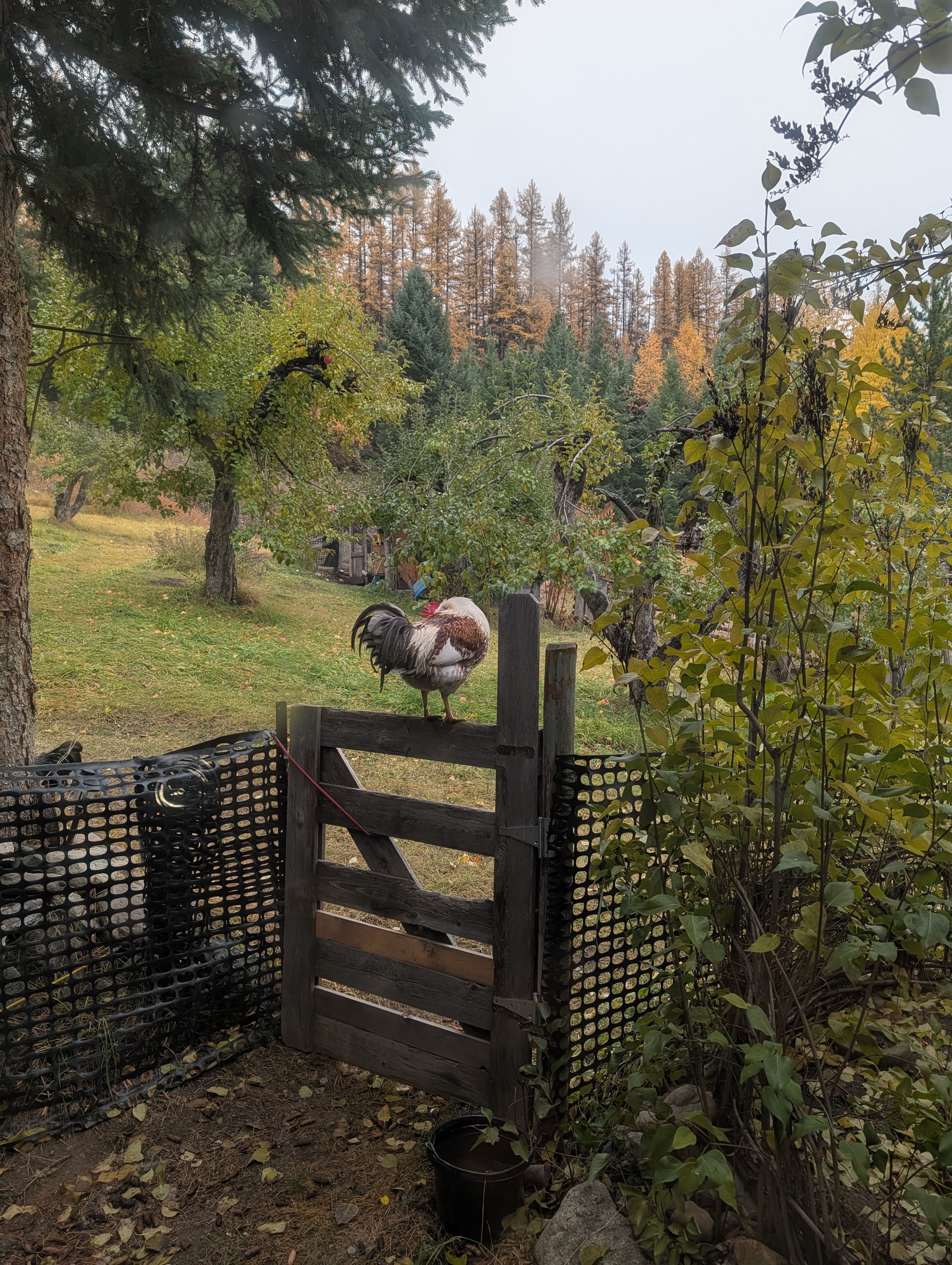 Fa3927f0 840d 457f 8d44 d2cd104d25c0