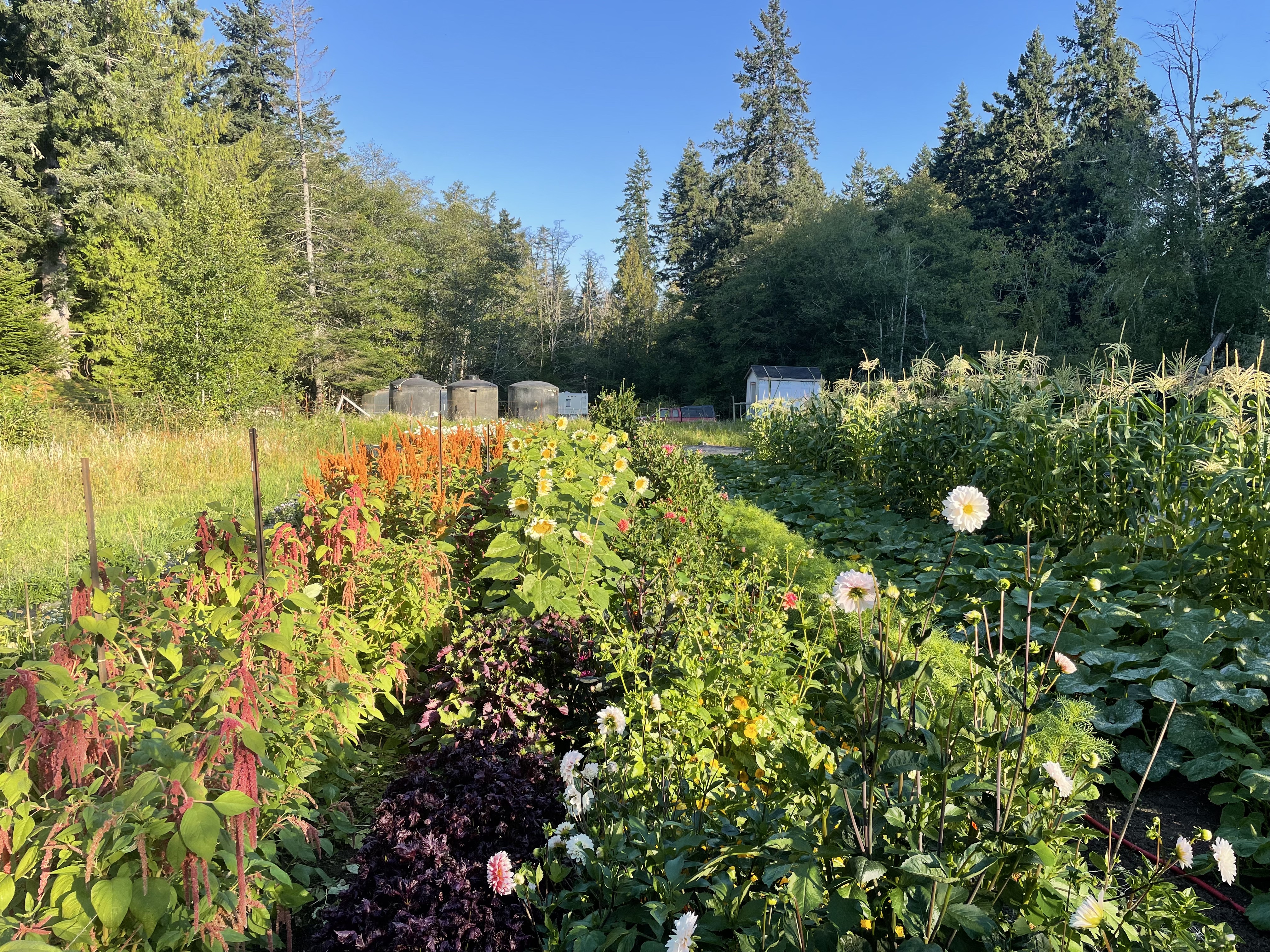 2841a018 24d3 4878 be75 5cb8c113de96