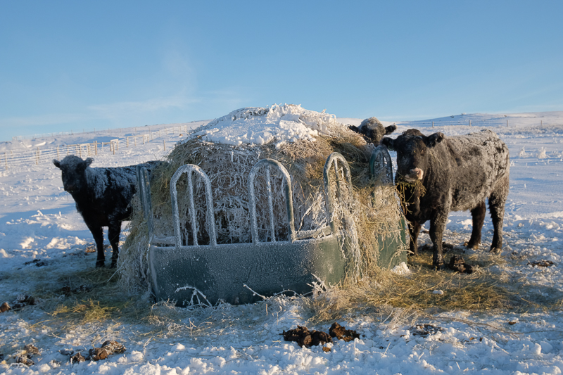 Eba39bef 402c 439e ab40 cba5d4876ddb