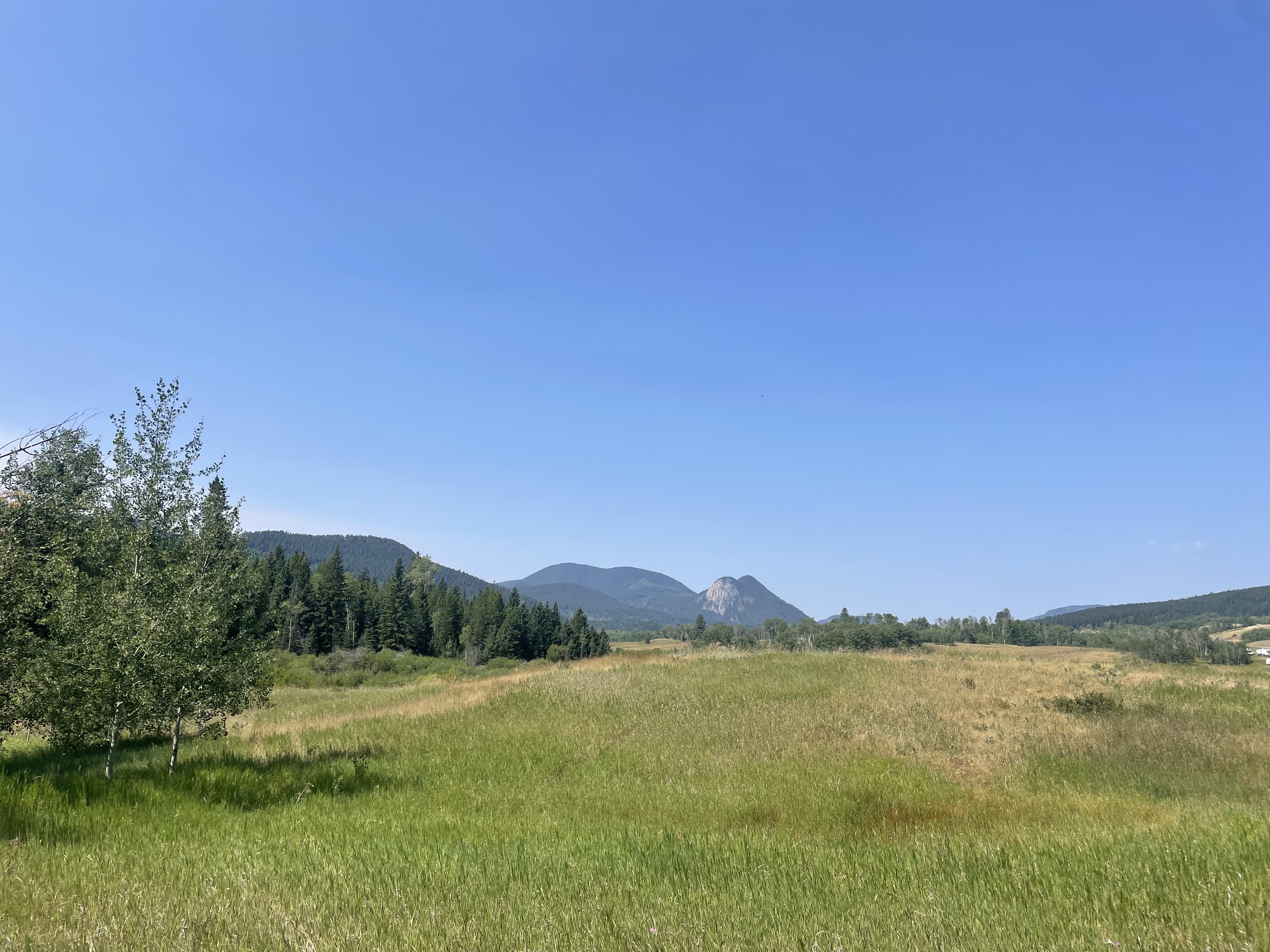 78187623 8d20 4010 bf37 266eca309183