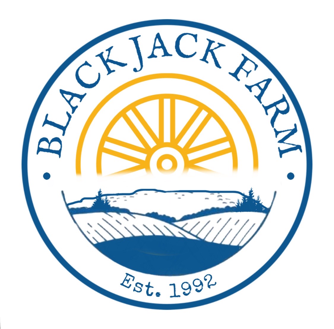 68834541 2838 462b a176 54dc8f35d100