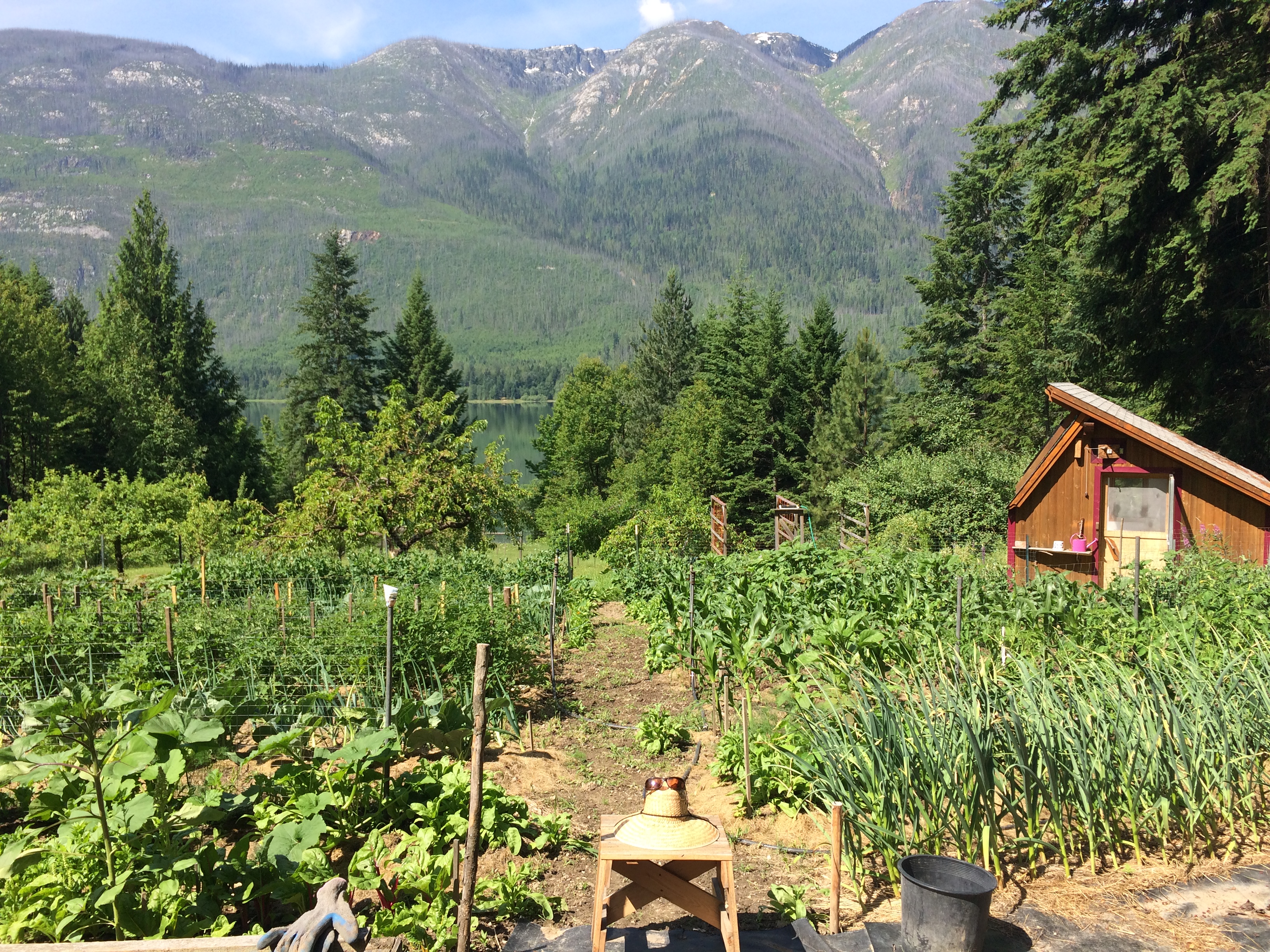 3b8cee75 288d 4a77 bd0e 94db5e7dff11