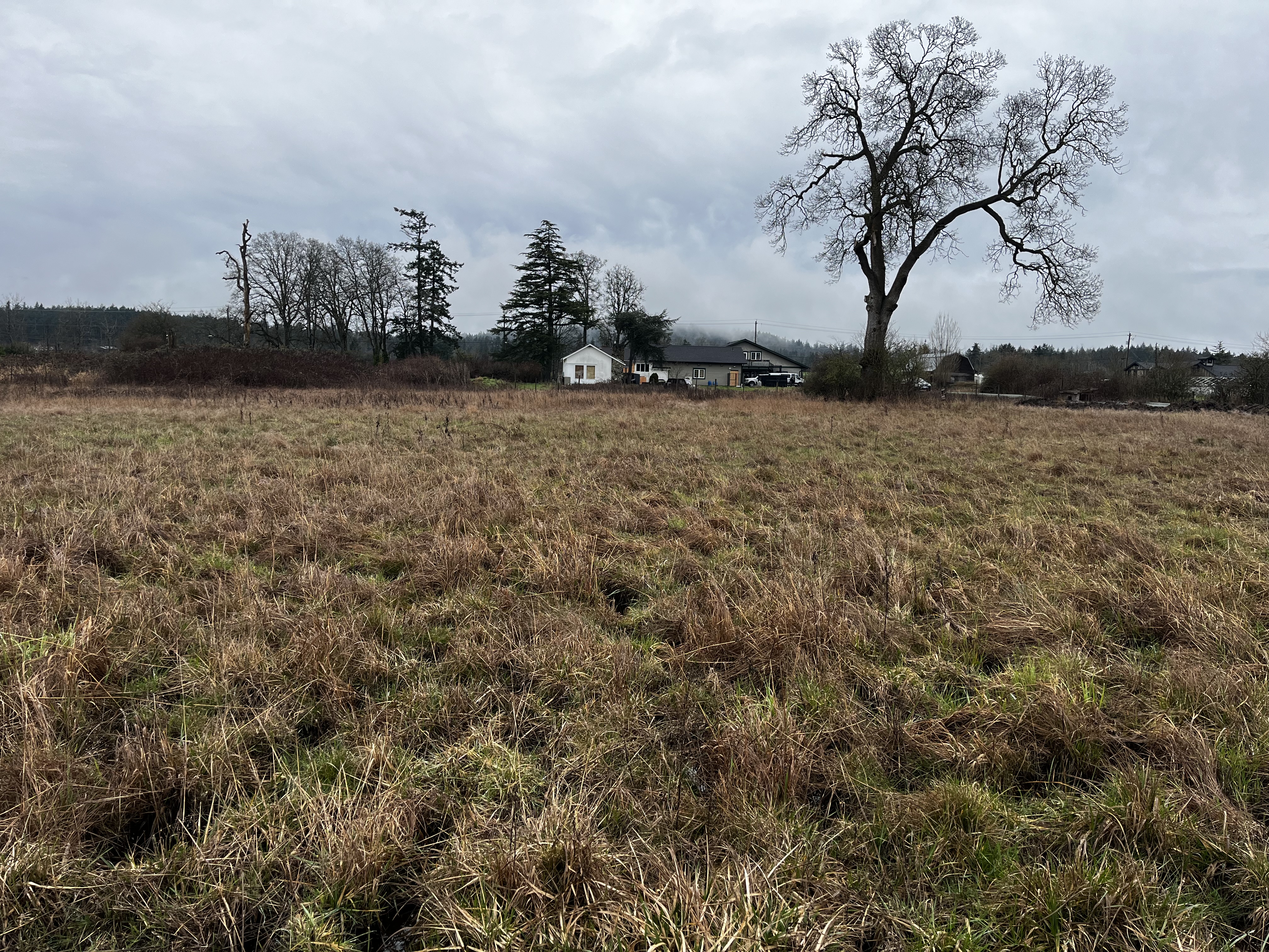 6a143ee6 31f4 4ef6 a441 d6f51f013908