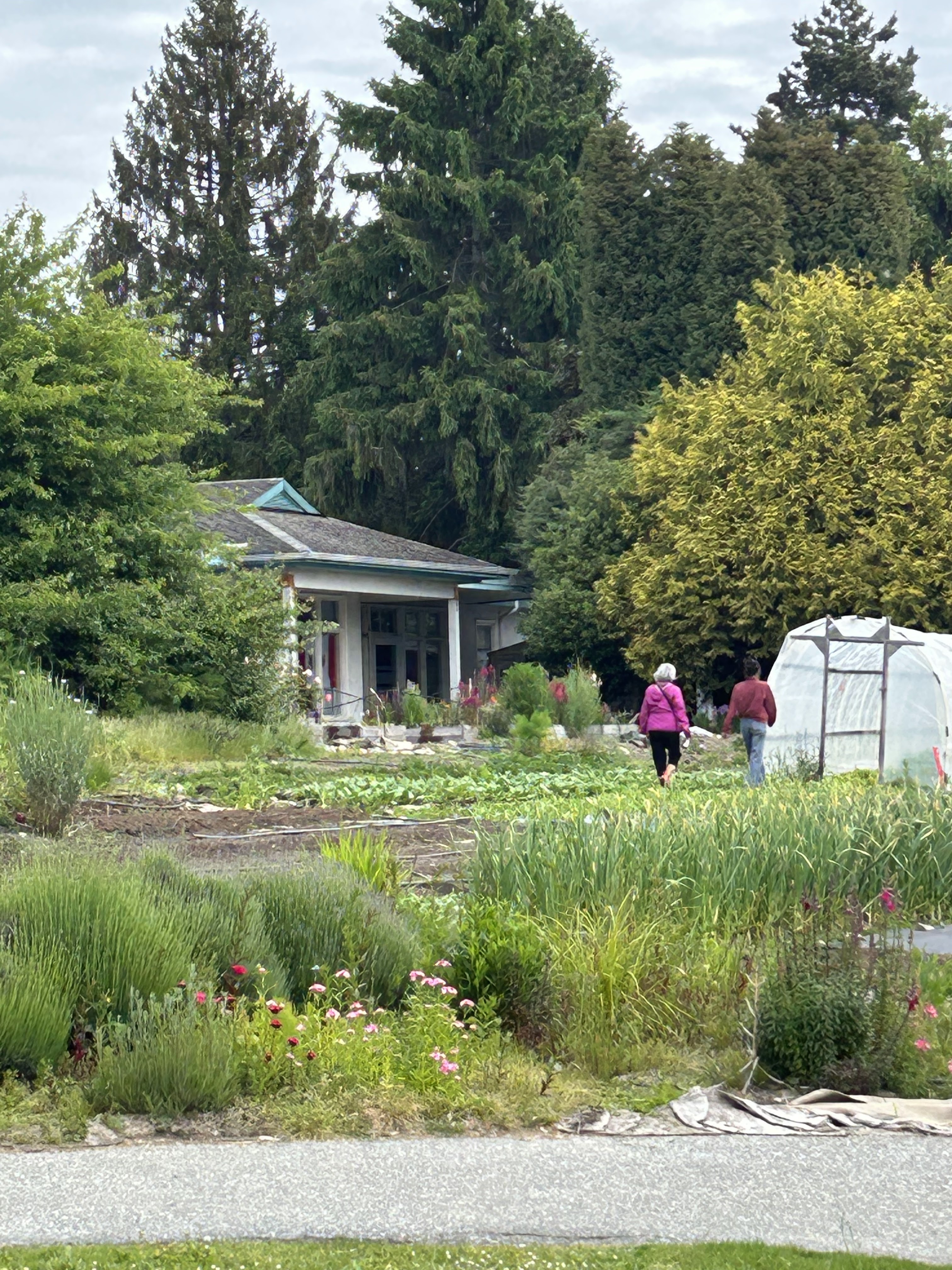 F1463a37 a298 456f 99cd 44b2529f988e