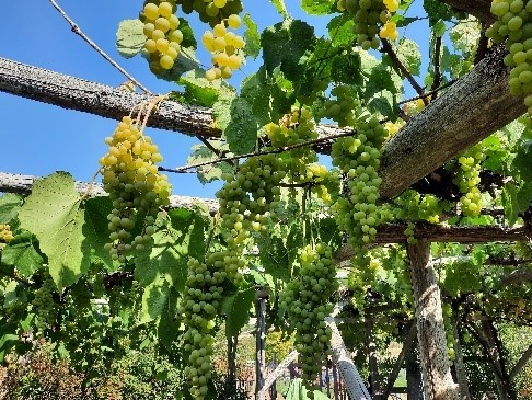 8ae7e7cc 7825 48d0 a197 d462581528f7