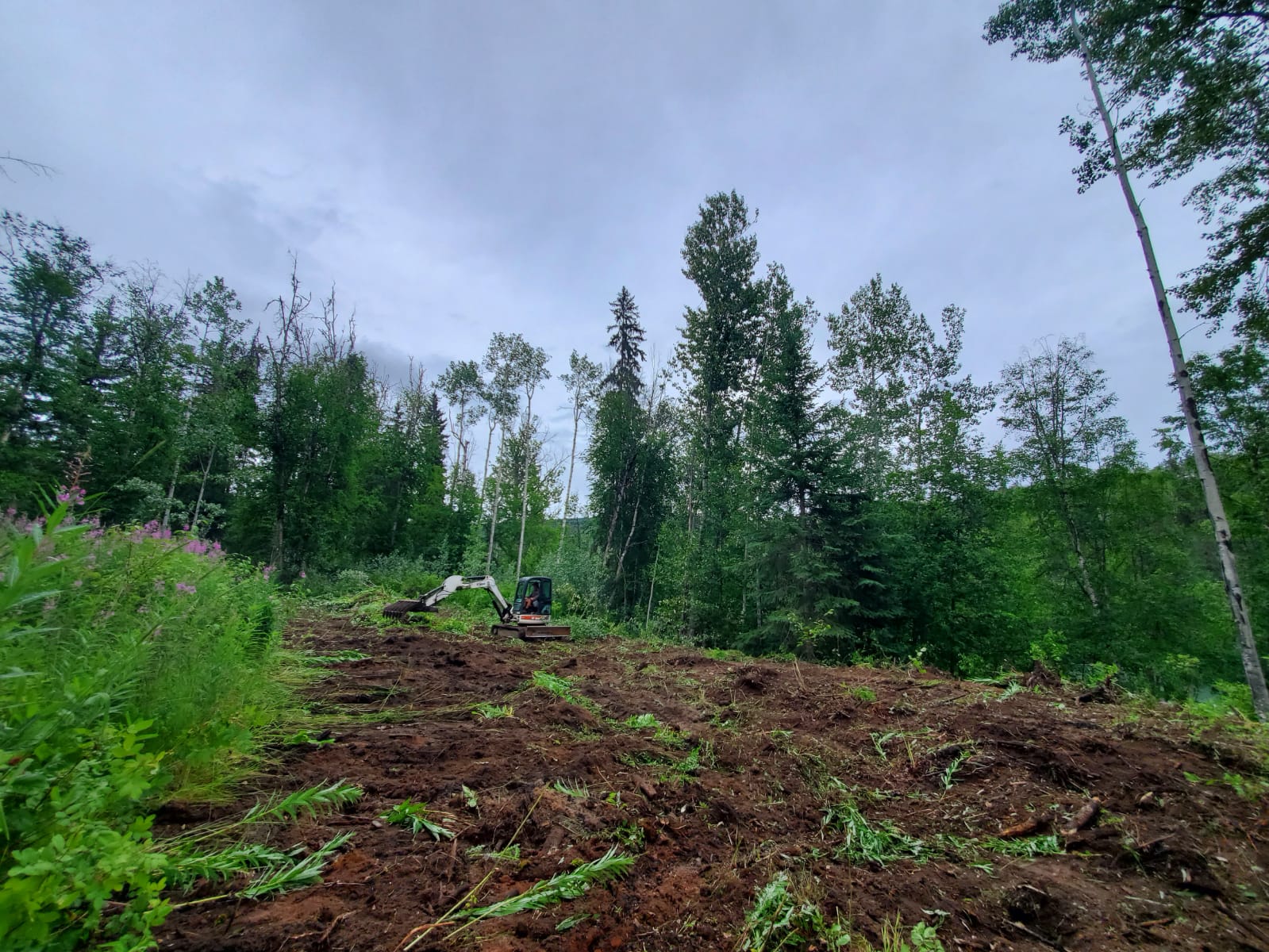 2dbfce5d 4c32 4fc7 9e78 c286479716fc