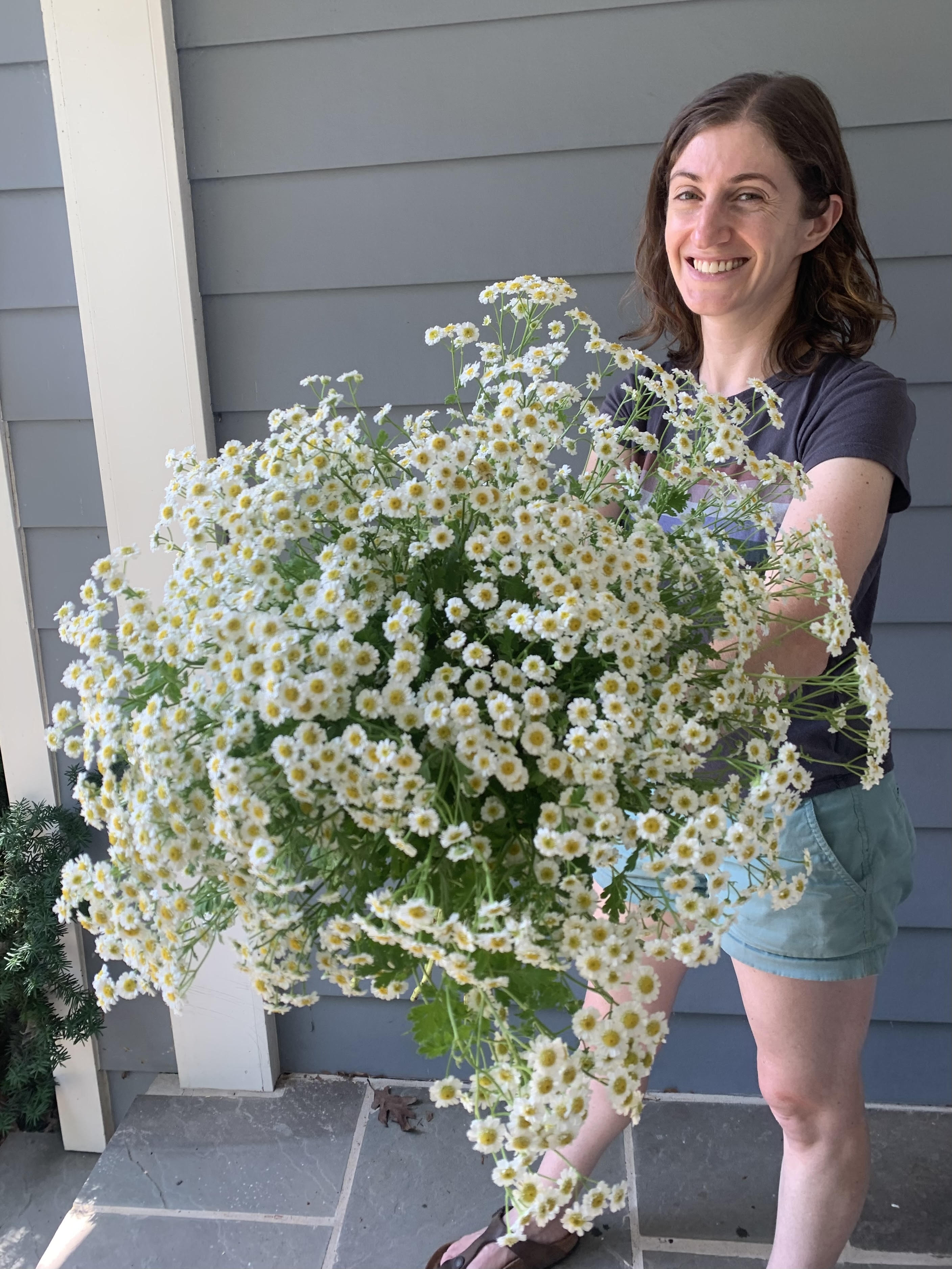 De17684c f0ff 4e47 ba51 4ab0d6022046