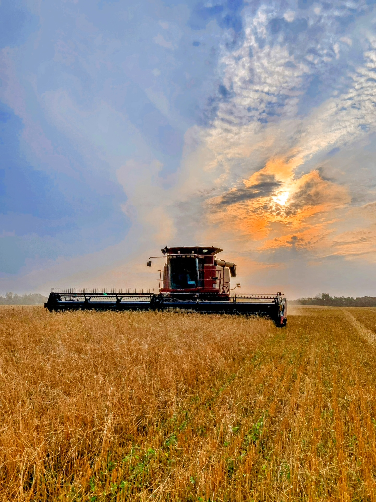 C7d81d0b 1d5a 49b0 b1fe 99ac4437c1c0