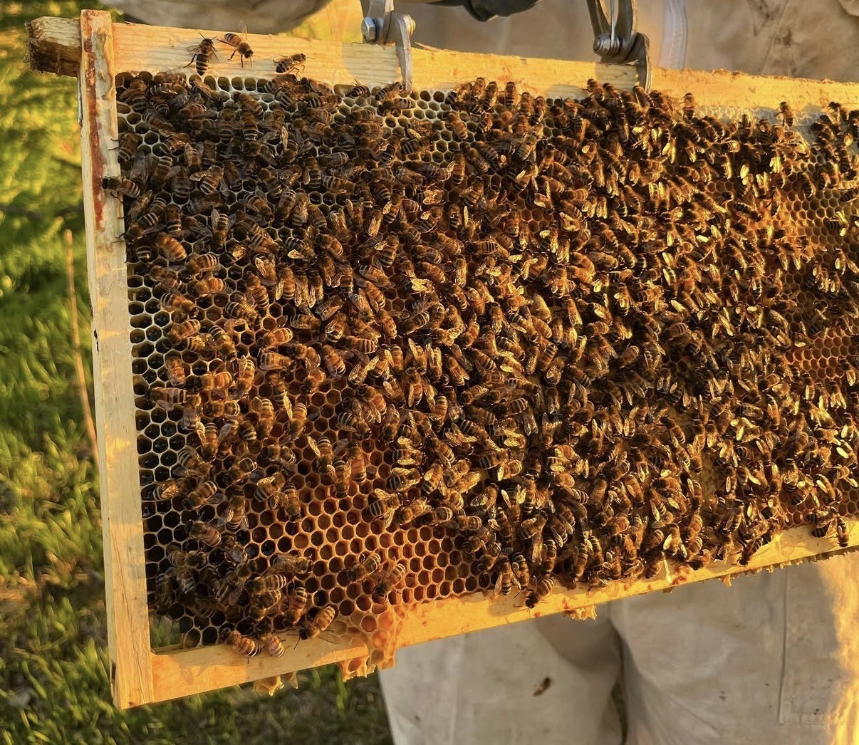 C40ff644 c6d3 4923 bcf3 be31629aab1f