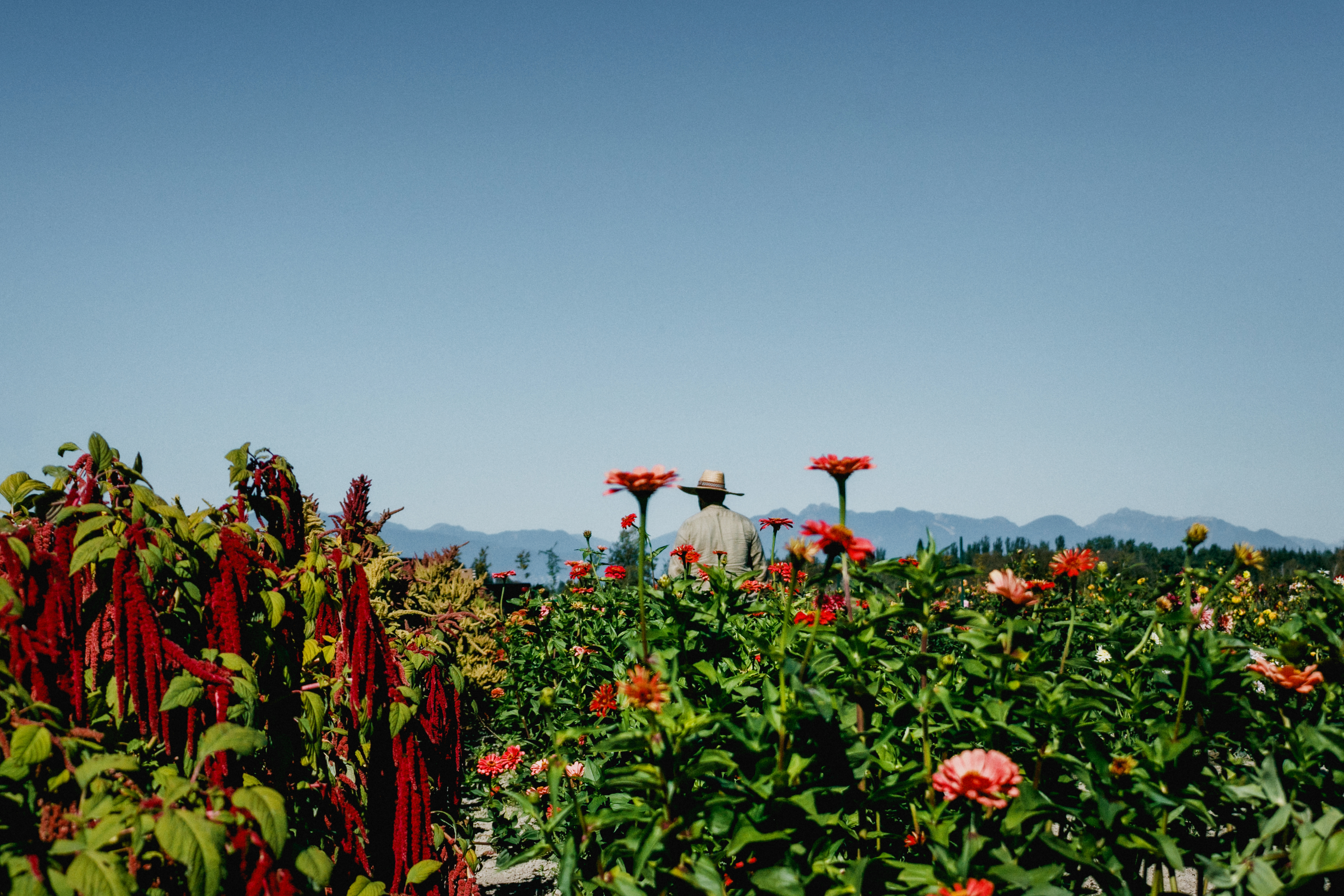 C9b62dbd db57 44e6 9ba0 774979b46b04