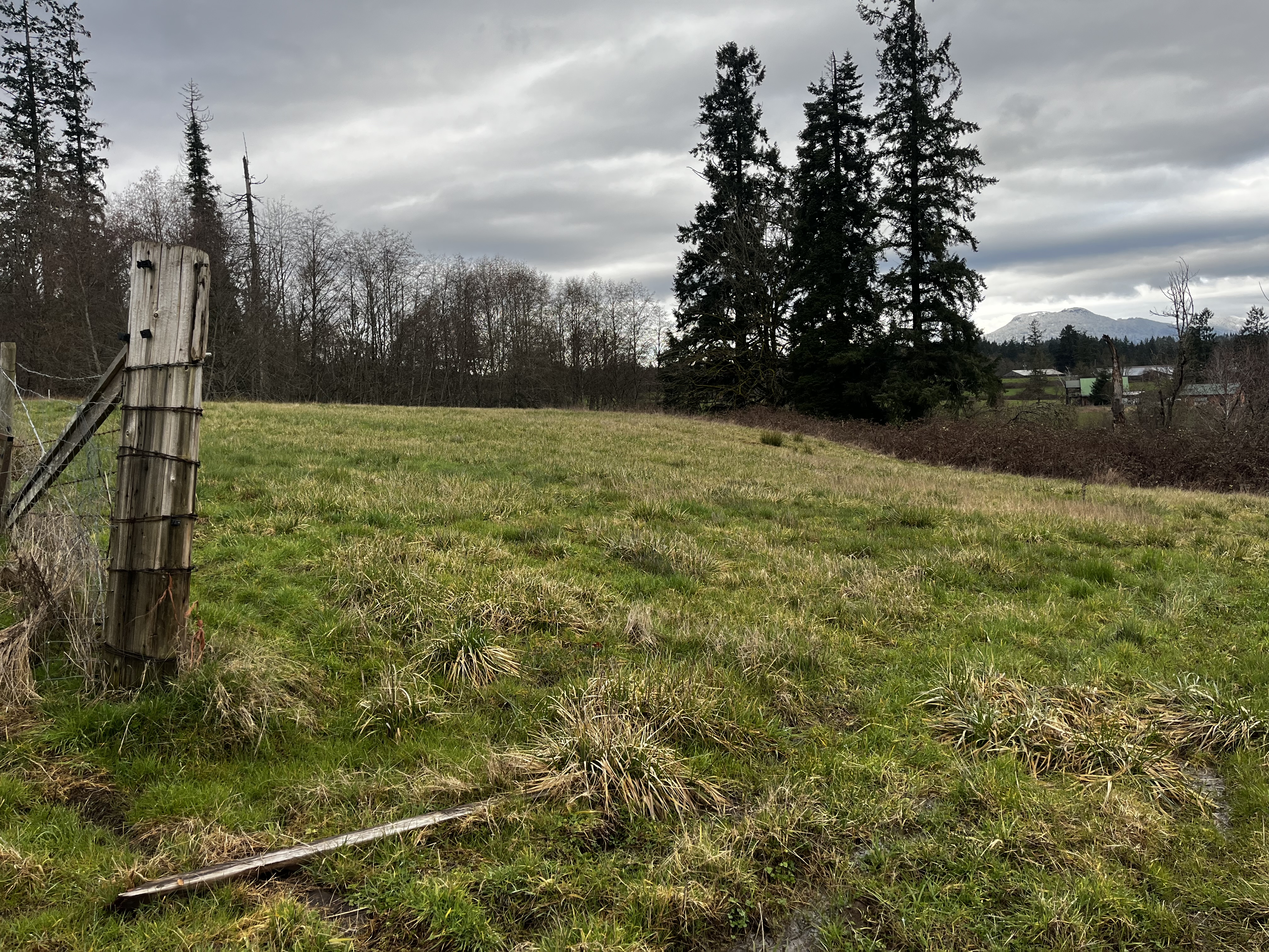 8729d68c 8c67 43f7 9fc3 bf5272eb8732