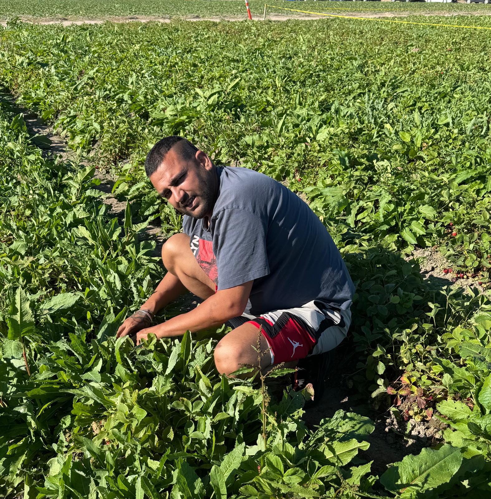 43632875 d6e8 488b 9913 06d783ae439b