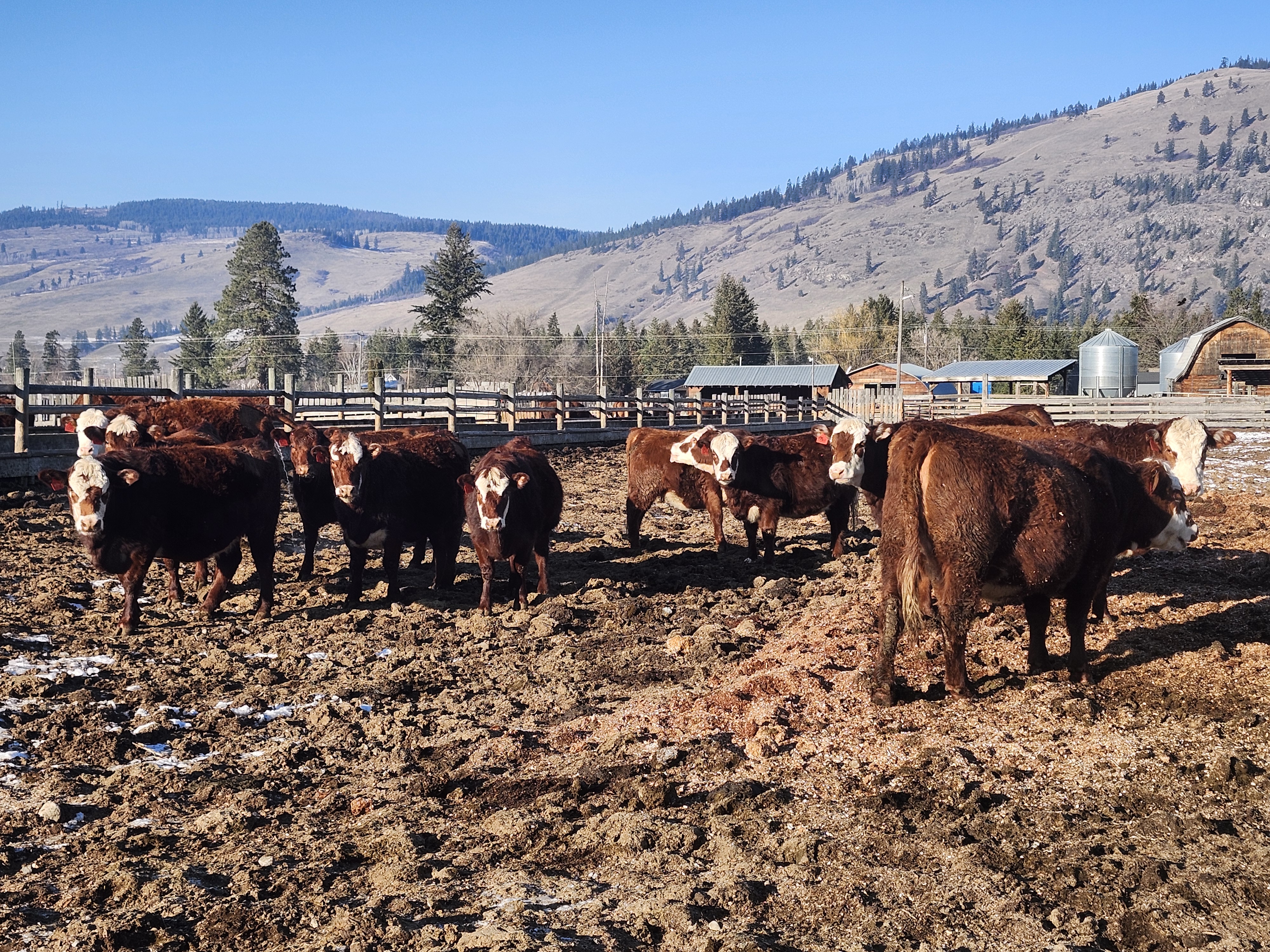 F05ead79 34ff 459b 896e d3effcffb817