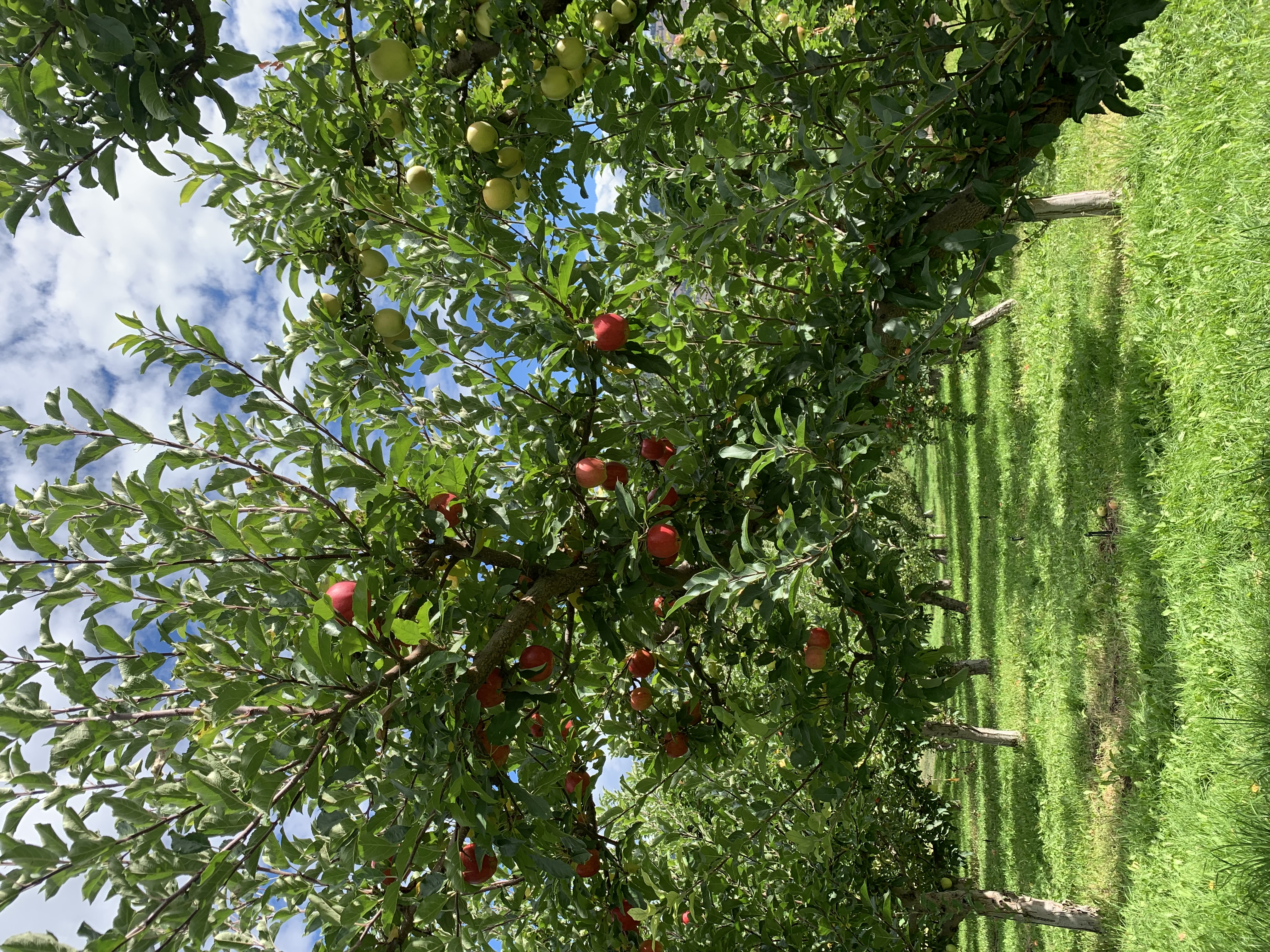 00241f7c 24d9 4144 81da c06ec8736d89