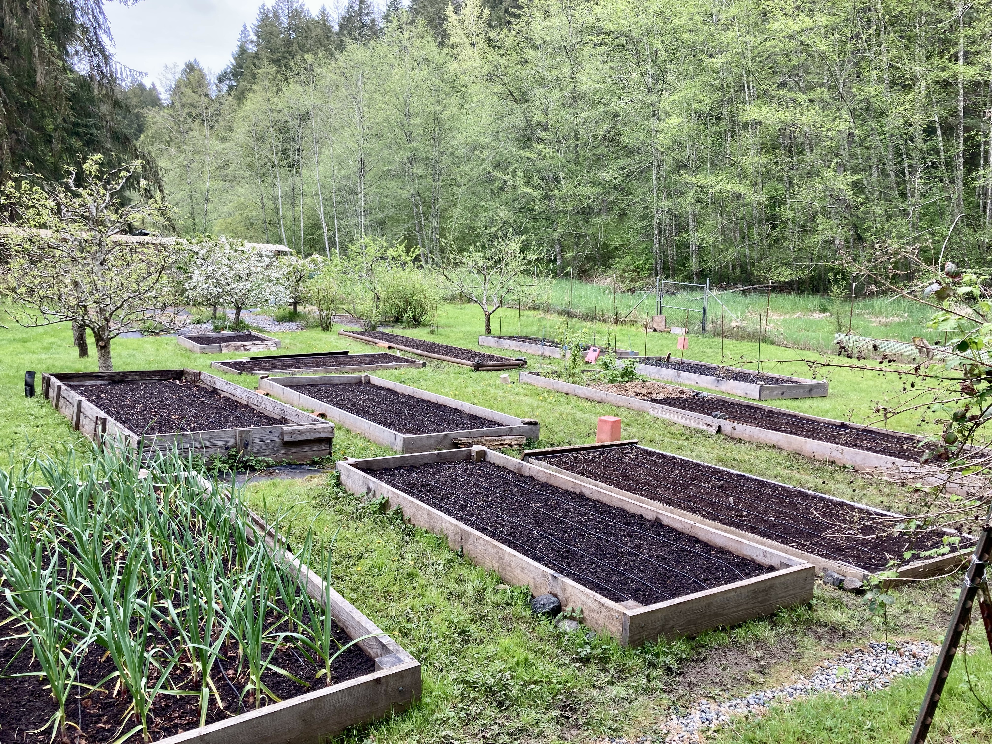 33cef319 d332 4238 a5c1 6da0de9058d5