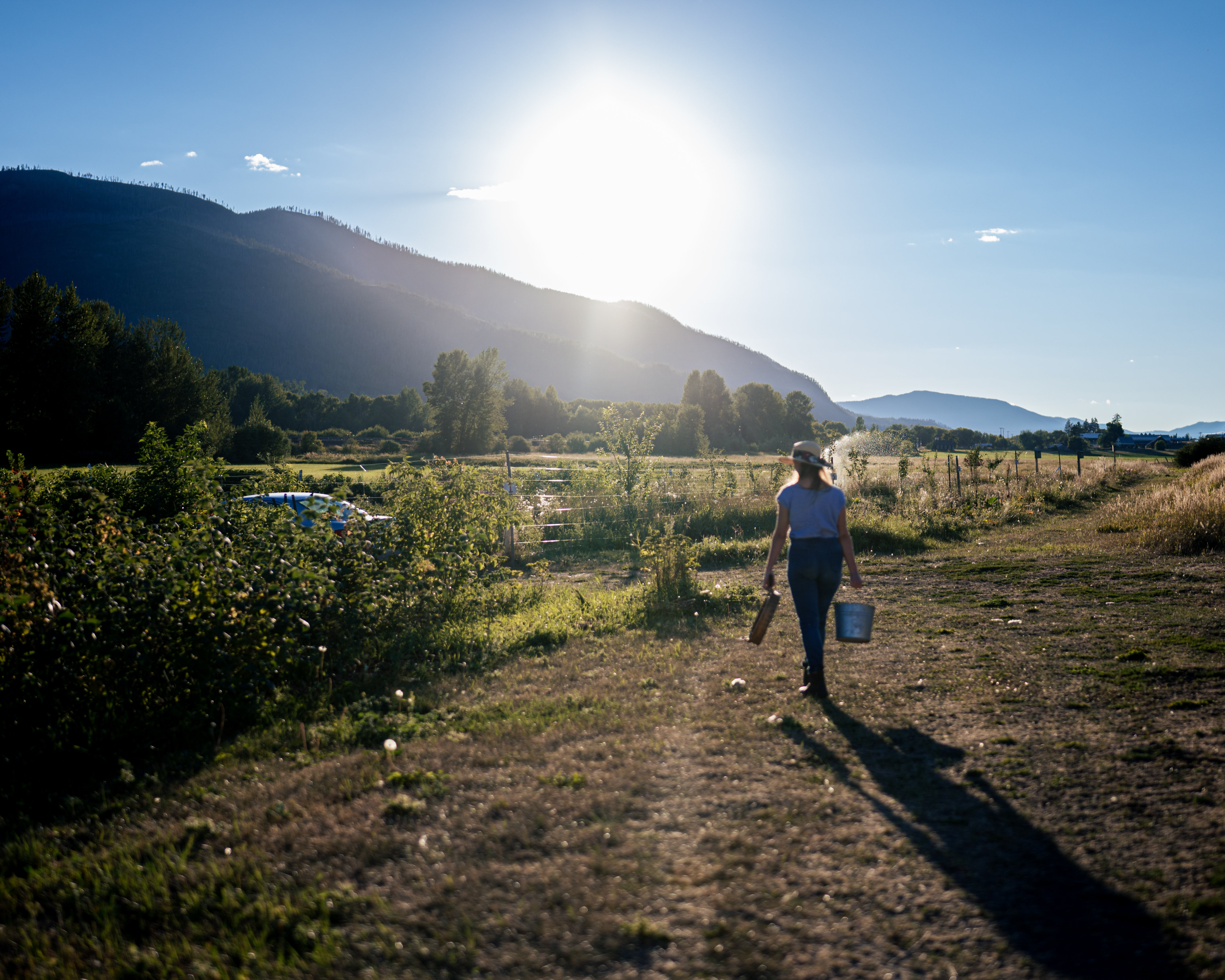 E638fbb8 a01a 49eb 9aaa 4105f6db6c5a