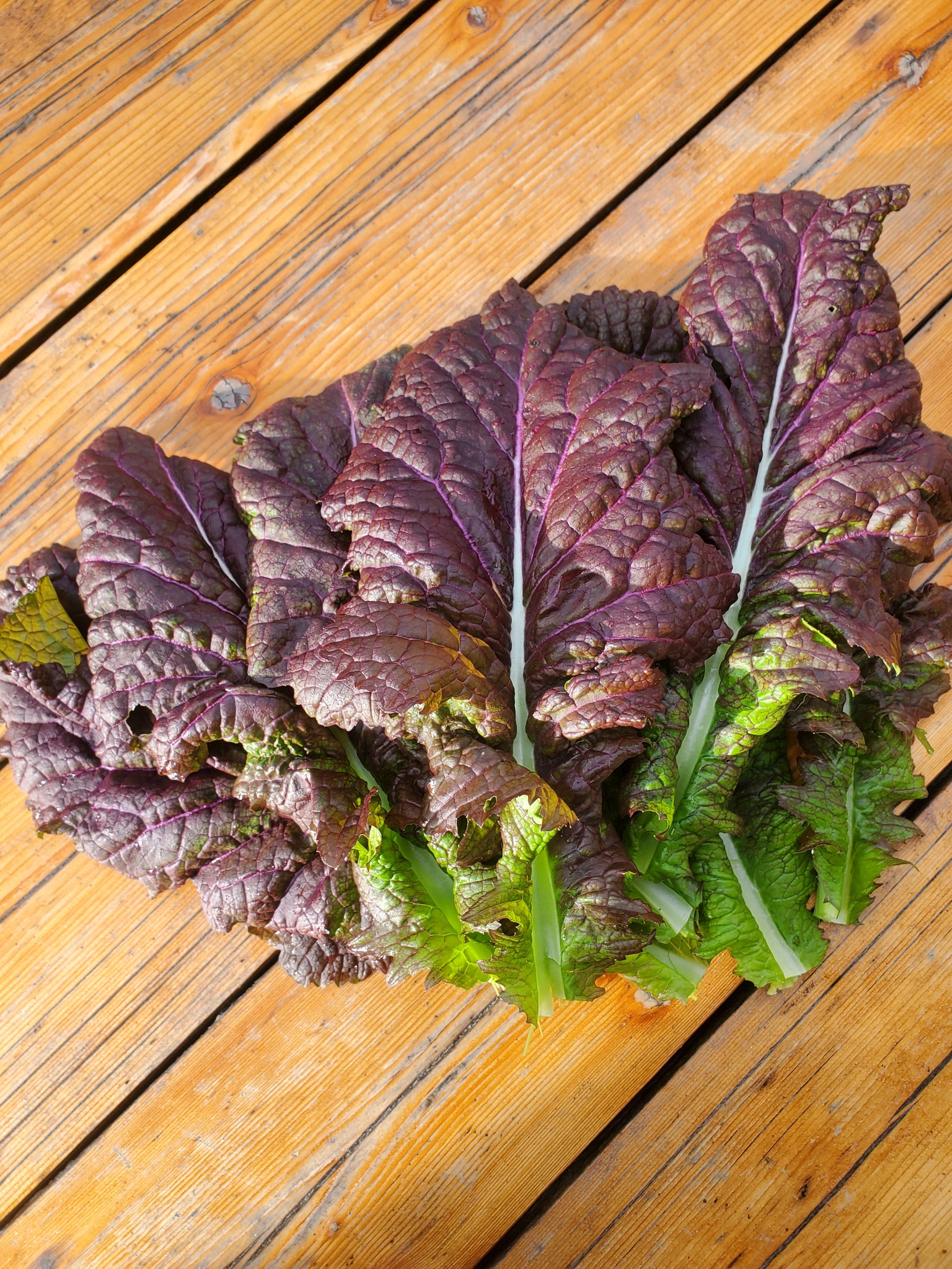 Dc48194e 6cd5 47ed 89ca 72c534808746