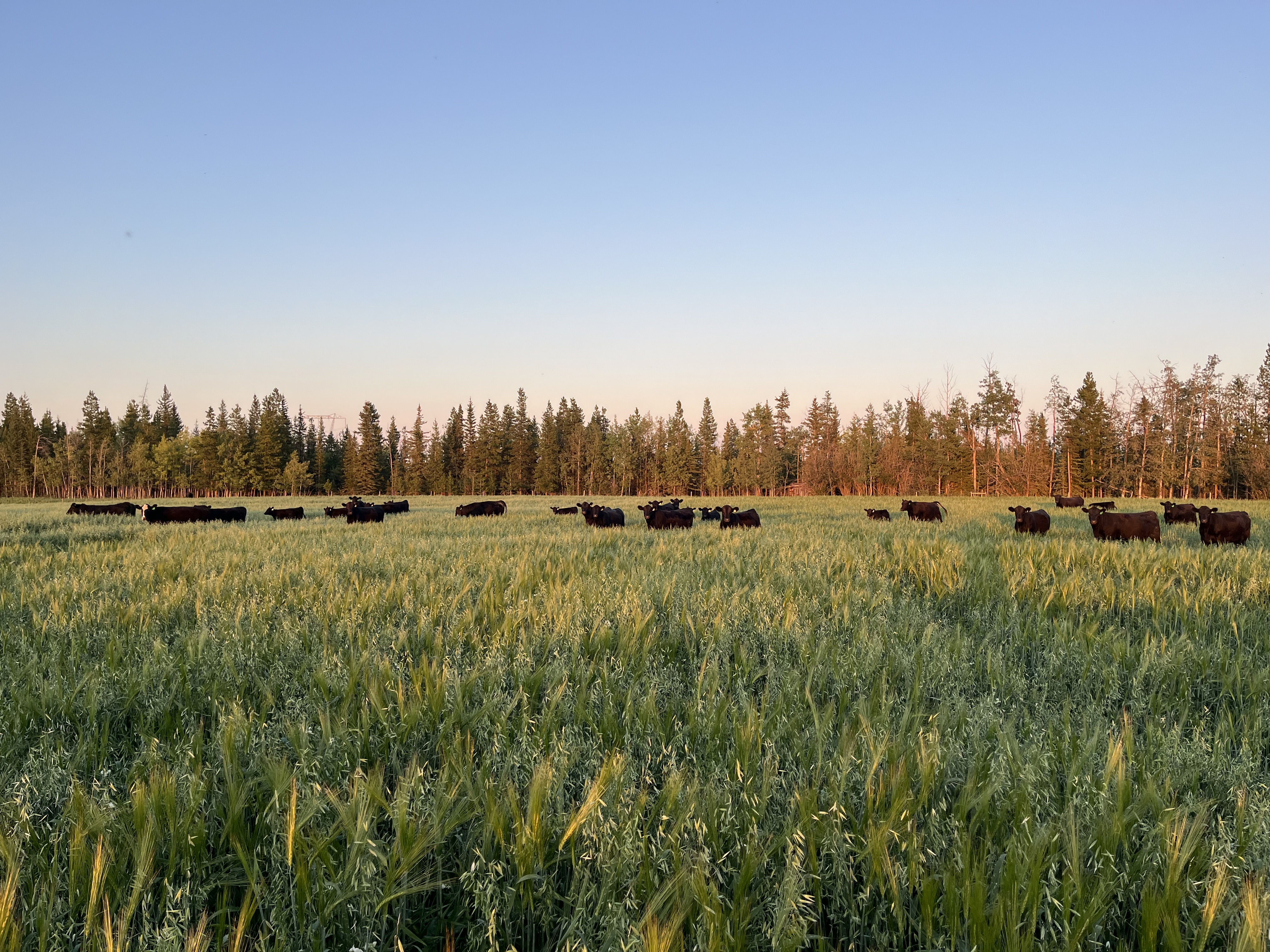 50ea3e9c 1aac 4680 b2b7 af762e446142