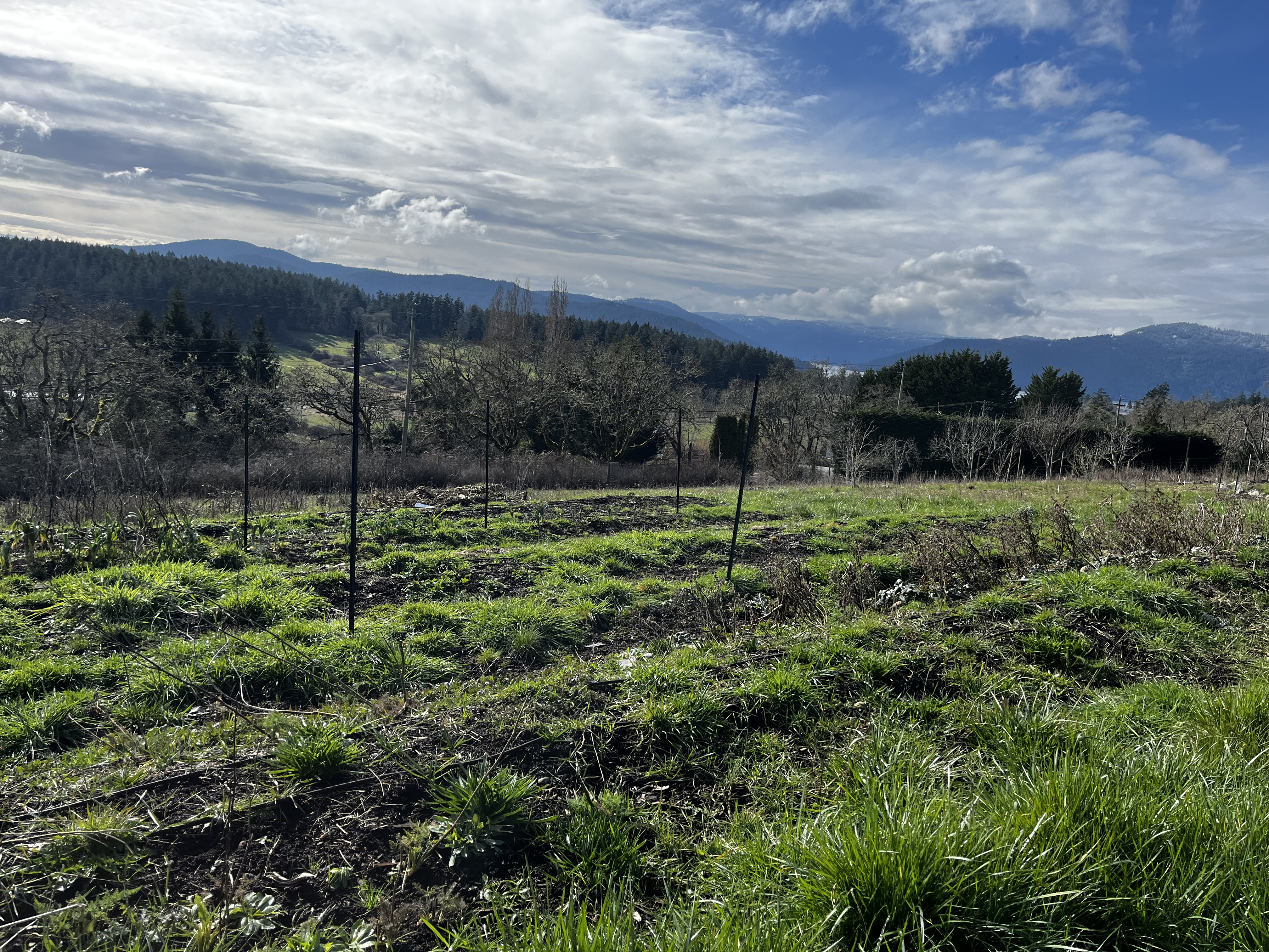 1e67d9ae 3b12 49d0 a2da 9d891ea0cbbb