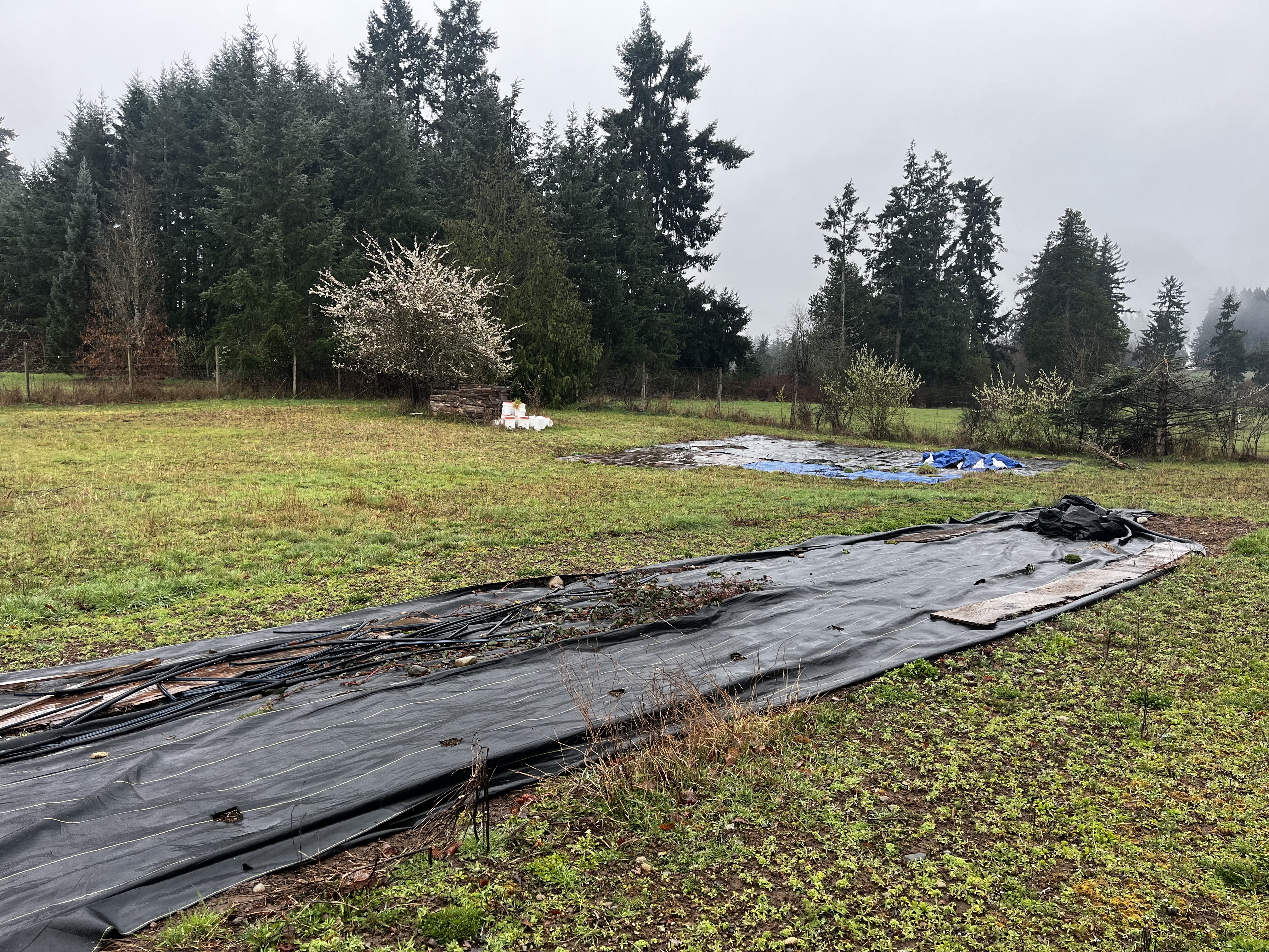 3e1951ed c3f0 4cac 81e8 a419645c2d76