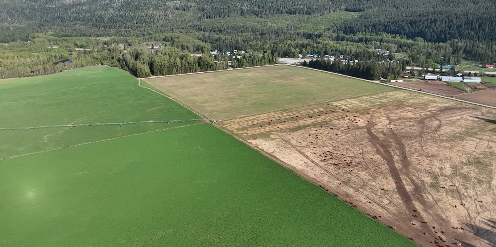 A30d2d5d 8479 421b 9001 ea35d1d5db28