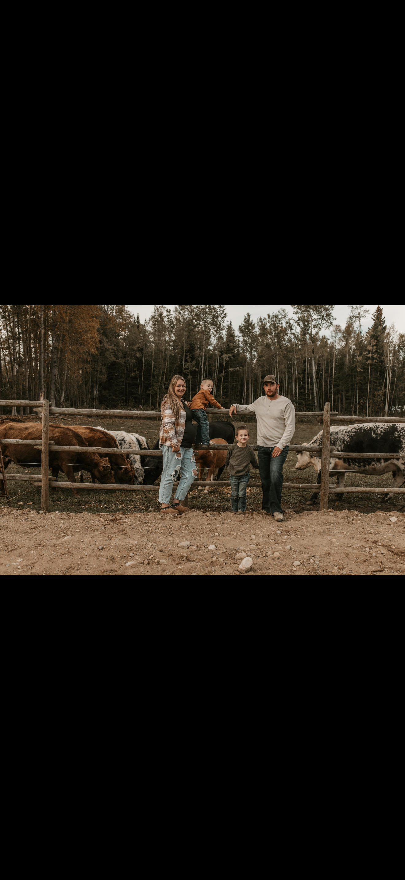 D3da4ae3 c0dd 434b 878d 60a5d9756b20