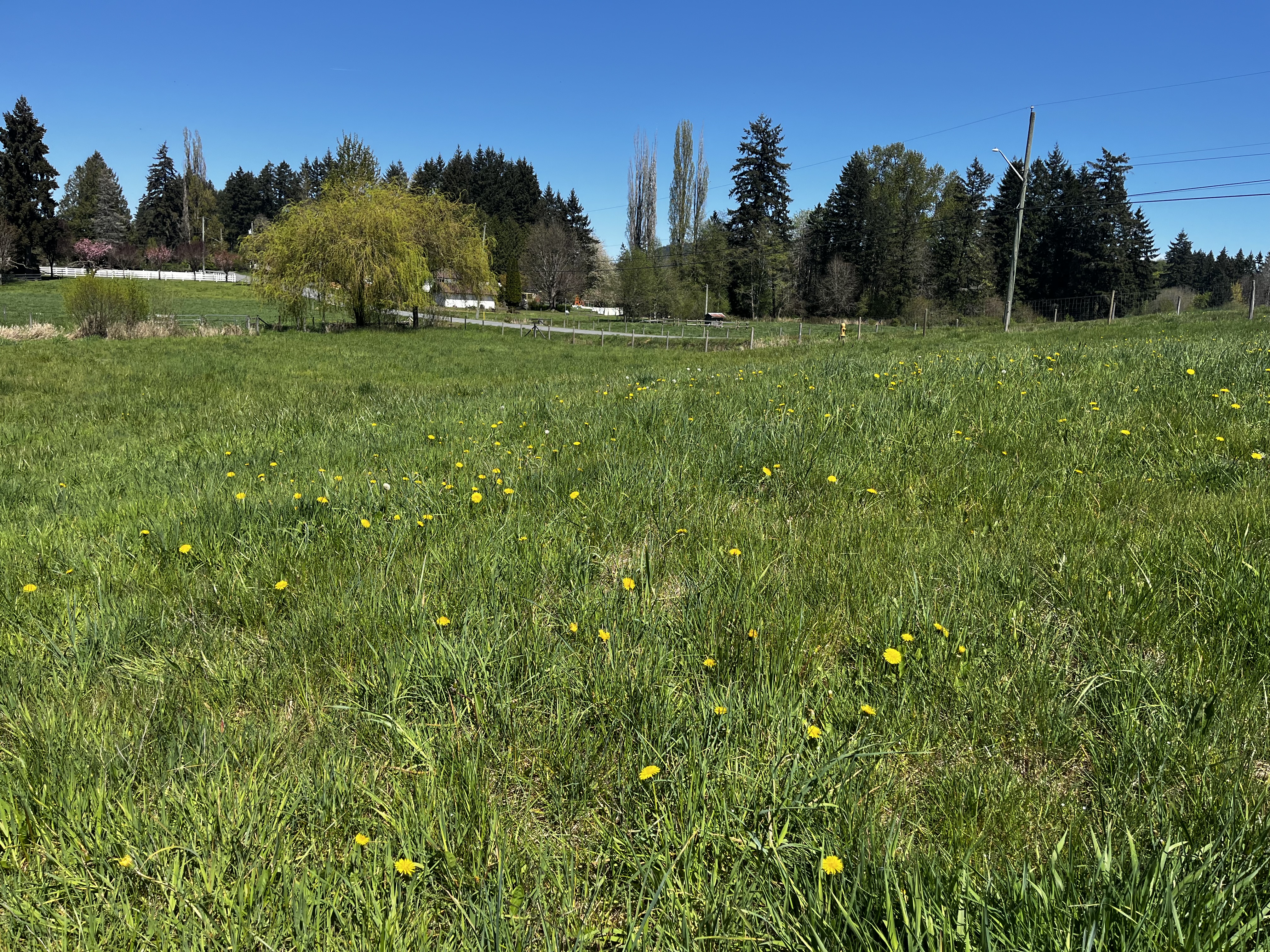 0dda54be b56b 40ce b92a 95de849dae2c