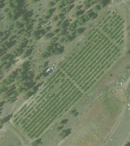 Ef1d866b 08ca 4ac9 8d9d d74893c82fcc